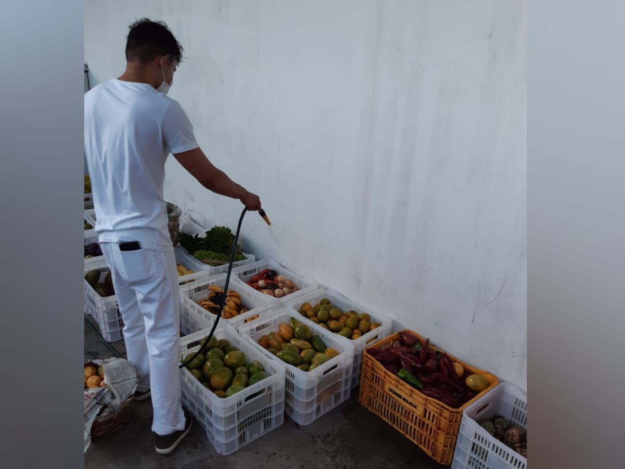 Projeto municipal de combate à fome segue garantindo alimentos de qualidade a quem precisa