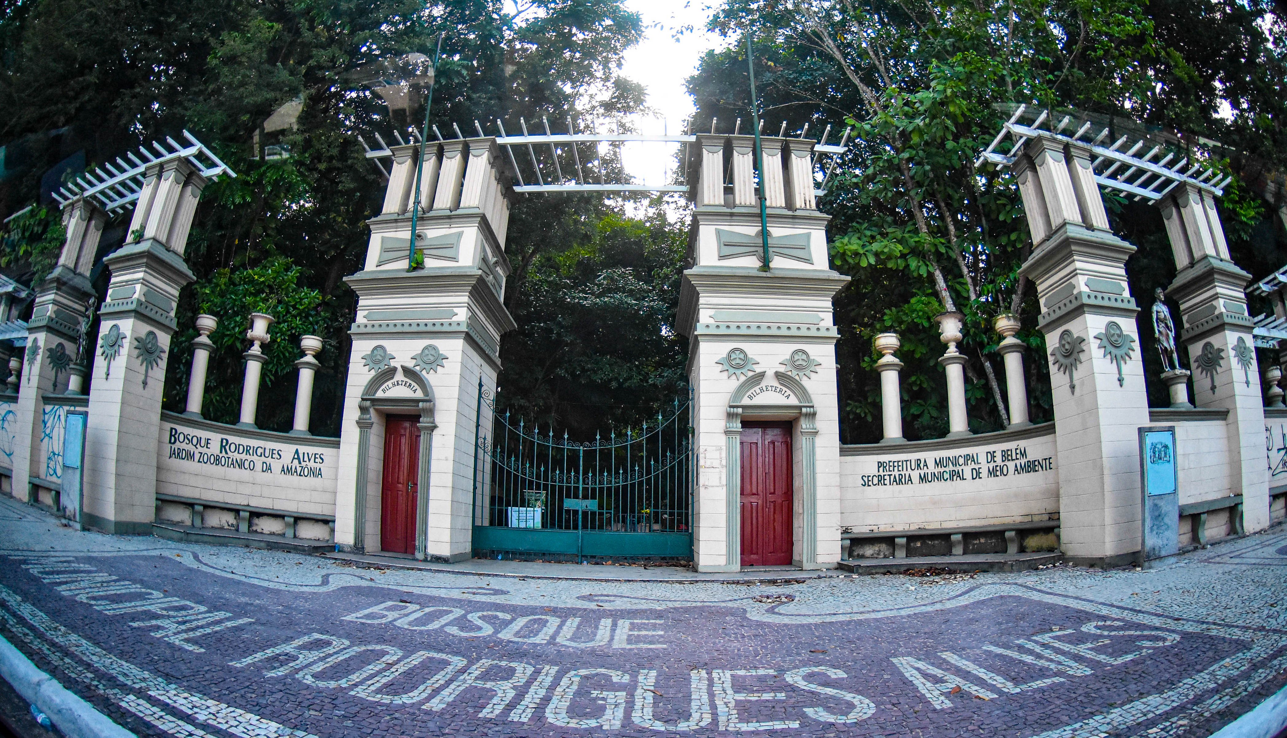 Bosque Rodrigues Alves anuncia projeto de inclusão de pessoas com deficiência 