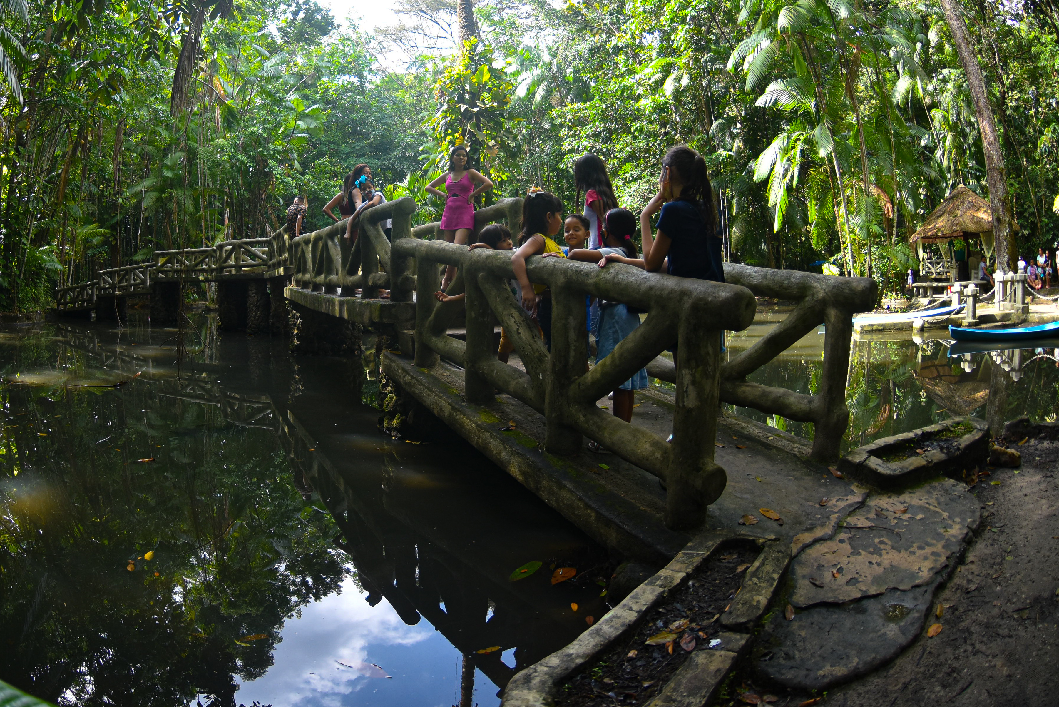 Inauguração da praça de alimentação e entrada gratuita marcam o aniversário de Belém no Bosque Rodrigues Alves