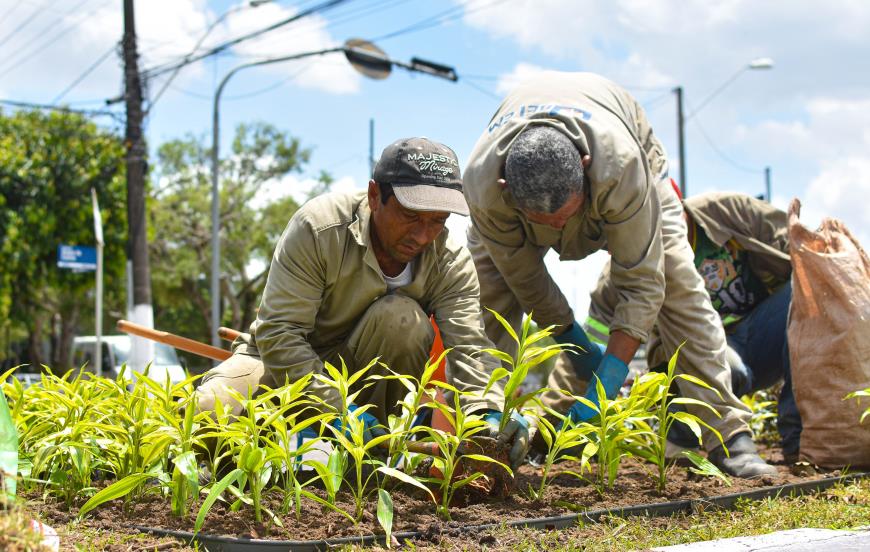Belém se projeta no circuito de cidades sustentáveis