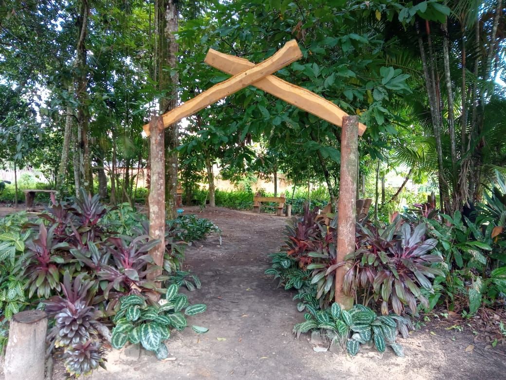 Novo paisagismo revitaliza espaços na Escola Bosque em Outeiro 