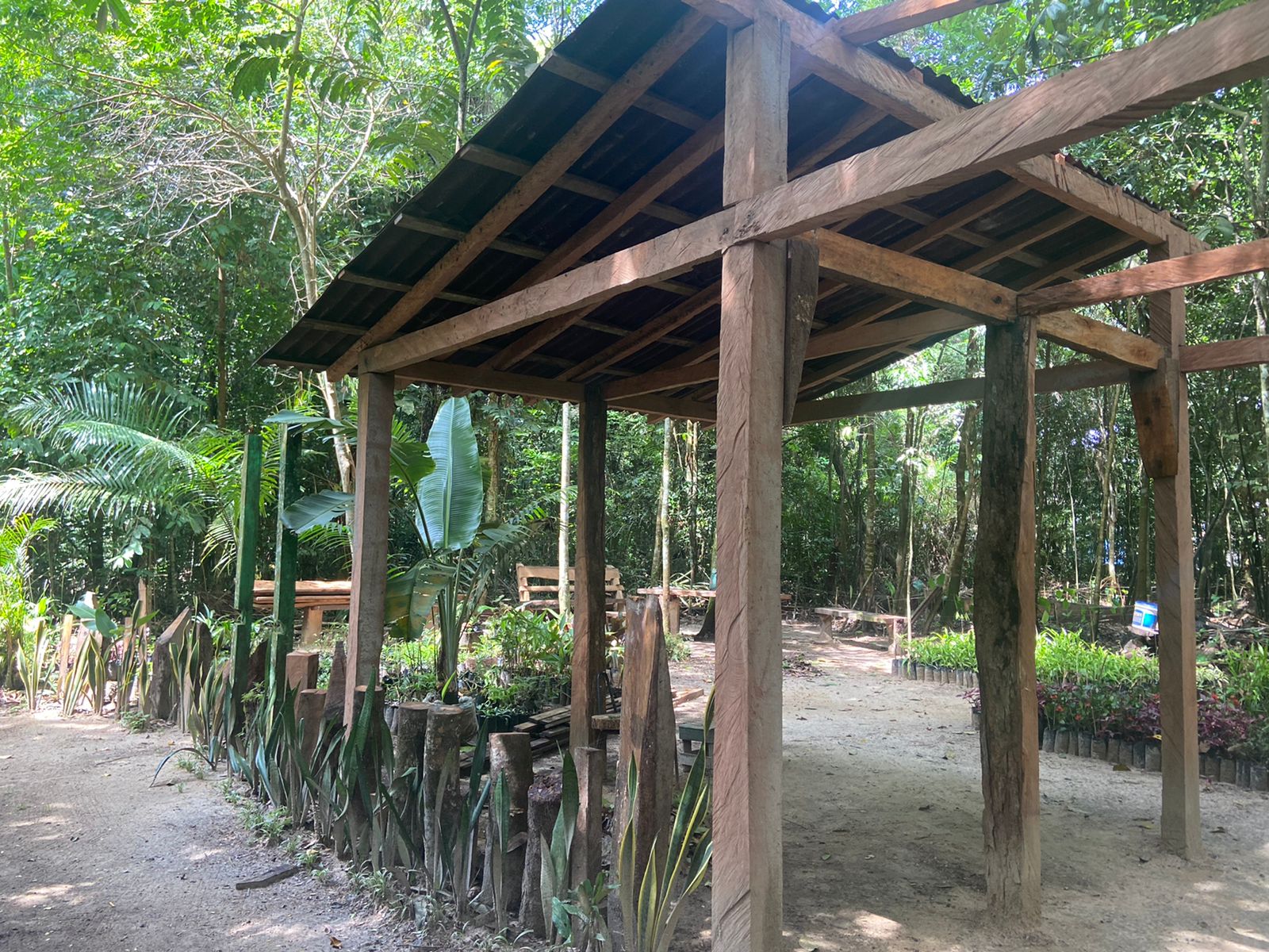 Novo paisagismo revitaliza espaços na Escola Bosque em Outeiro 