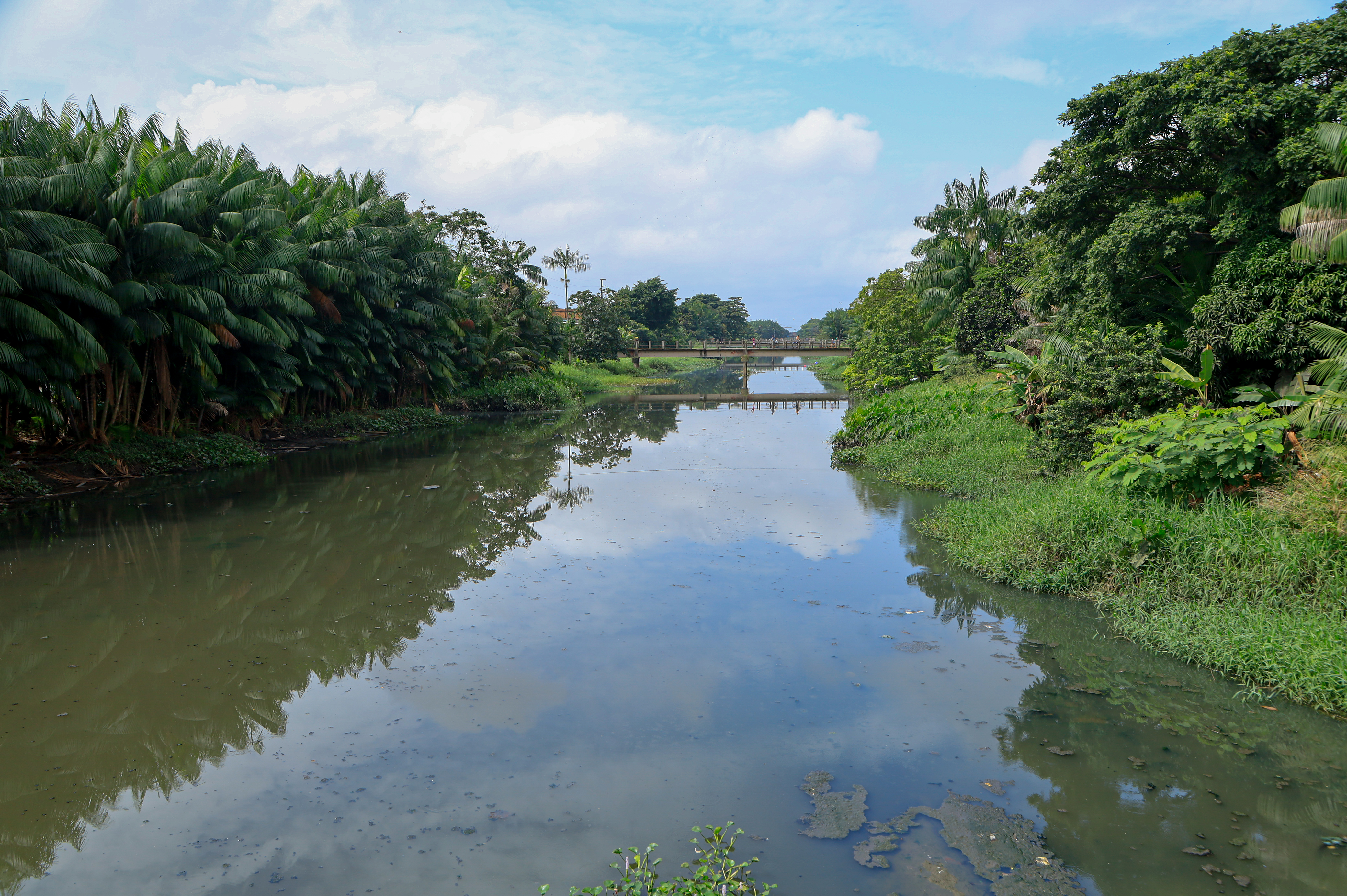 Resultado inicial do concurso do Parque do Igarapé São Joaquim será anunciado na próxima segunda, 4 