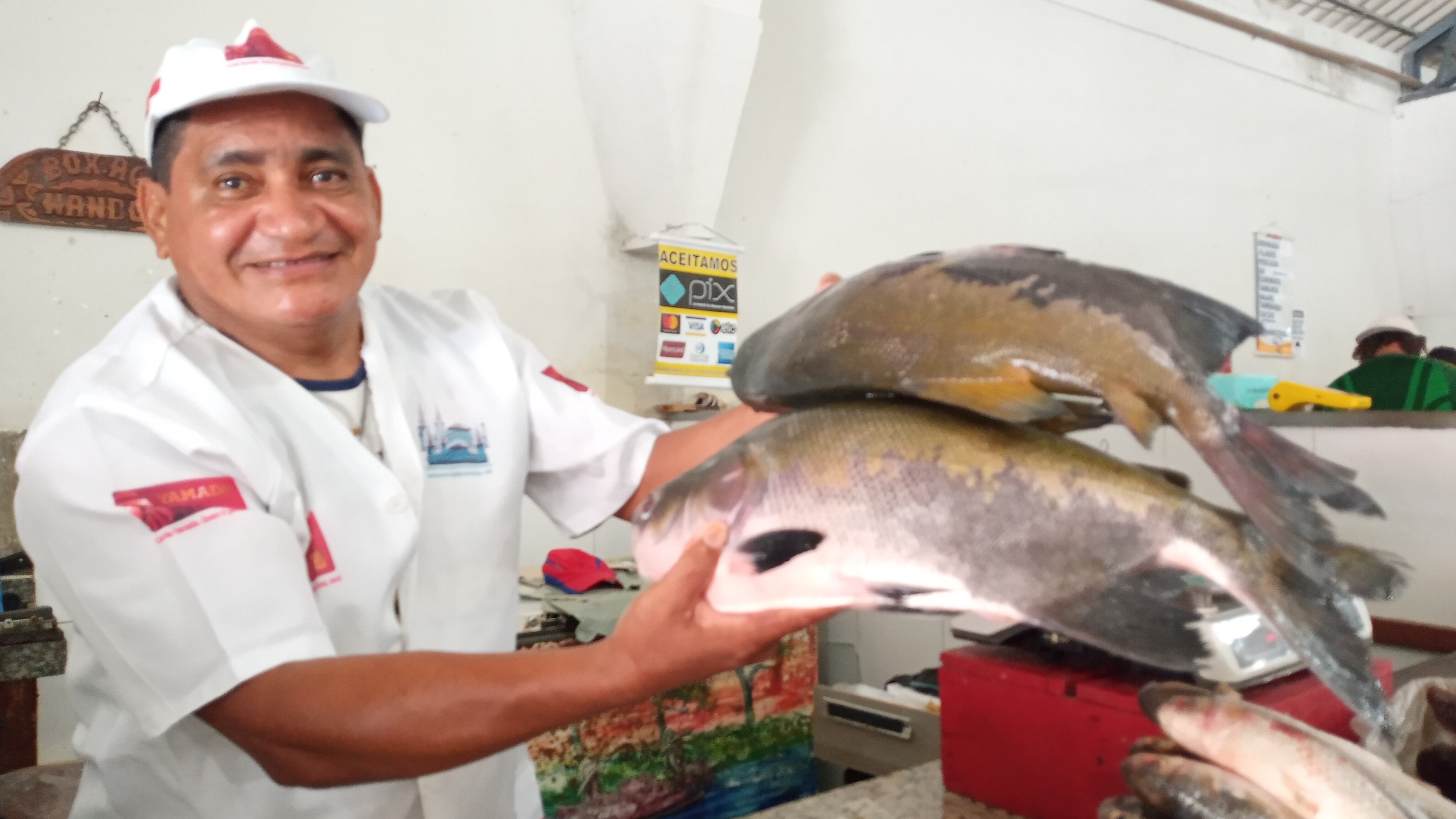 Preço do pescado comercializado na capital paraense fecha em alta em 2022