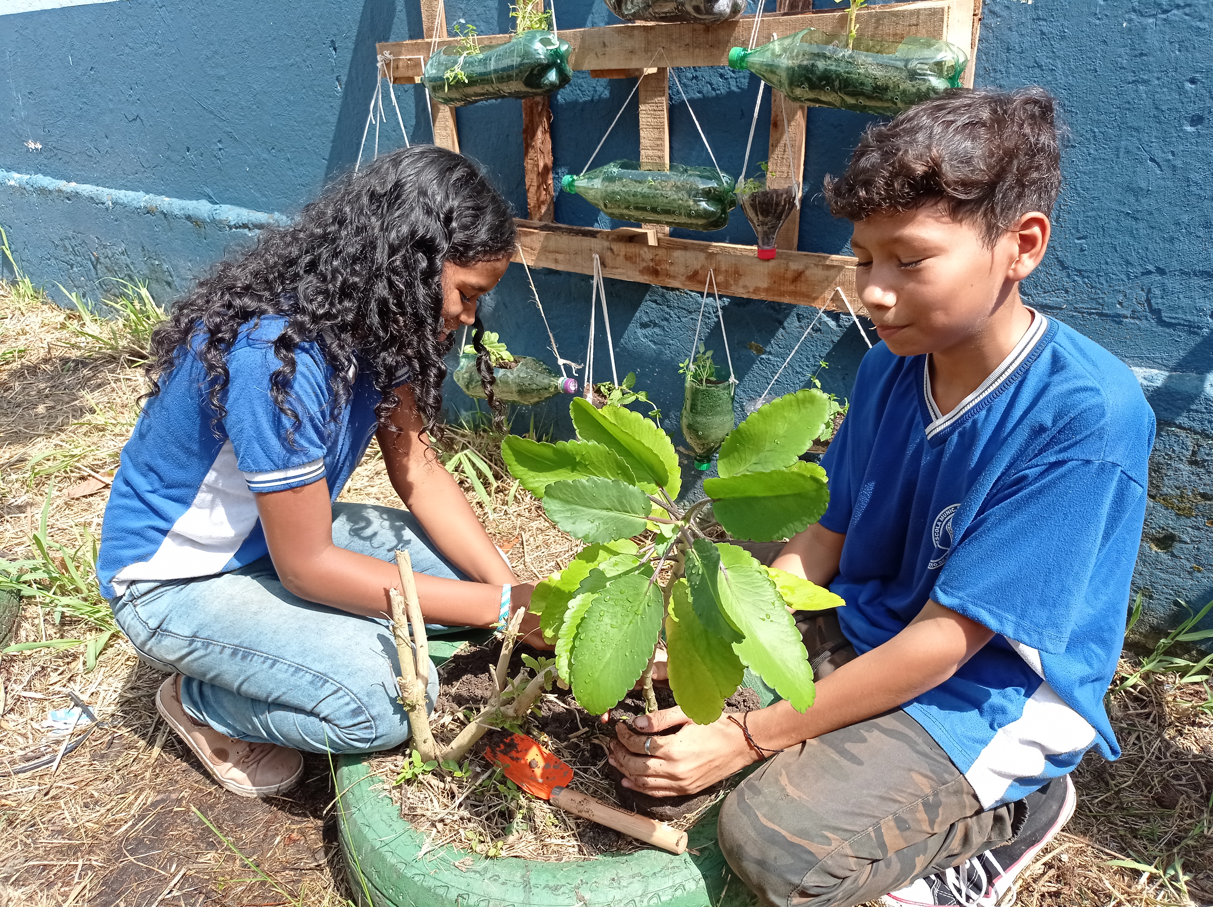 Crianças põem a mão na terra e aprendem a plantar hortaliças e flores em escola municipal