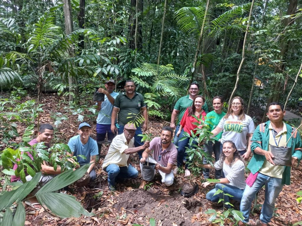 Belém amplia ações de arborização e atinge número recorde de plantio de mudas
