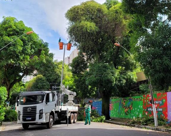 Belém amplia ações de arborização e atinge número recorde de plantio de mudas