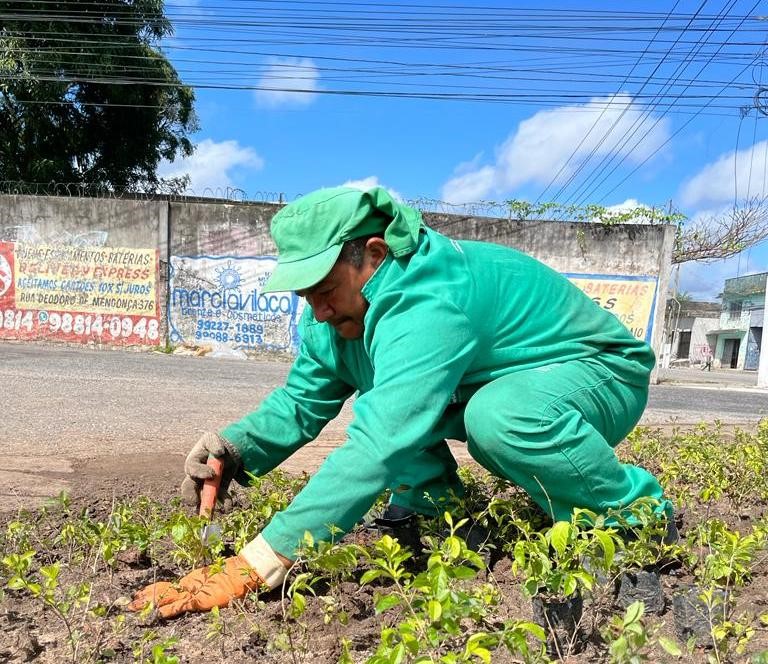 Belém amplia ações de arborização e atinge número recorde de plantio de mudas
