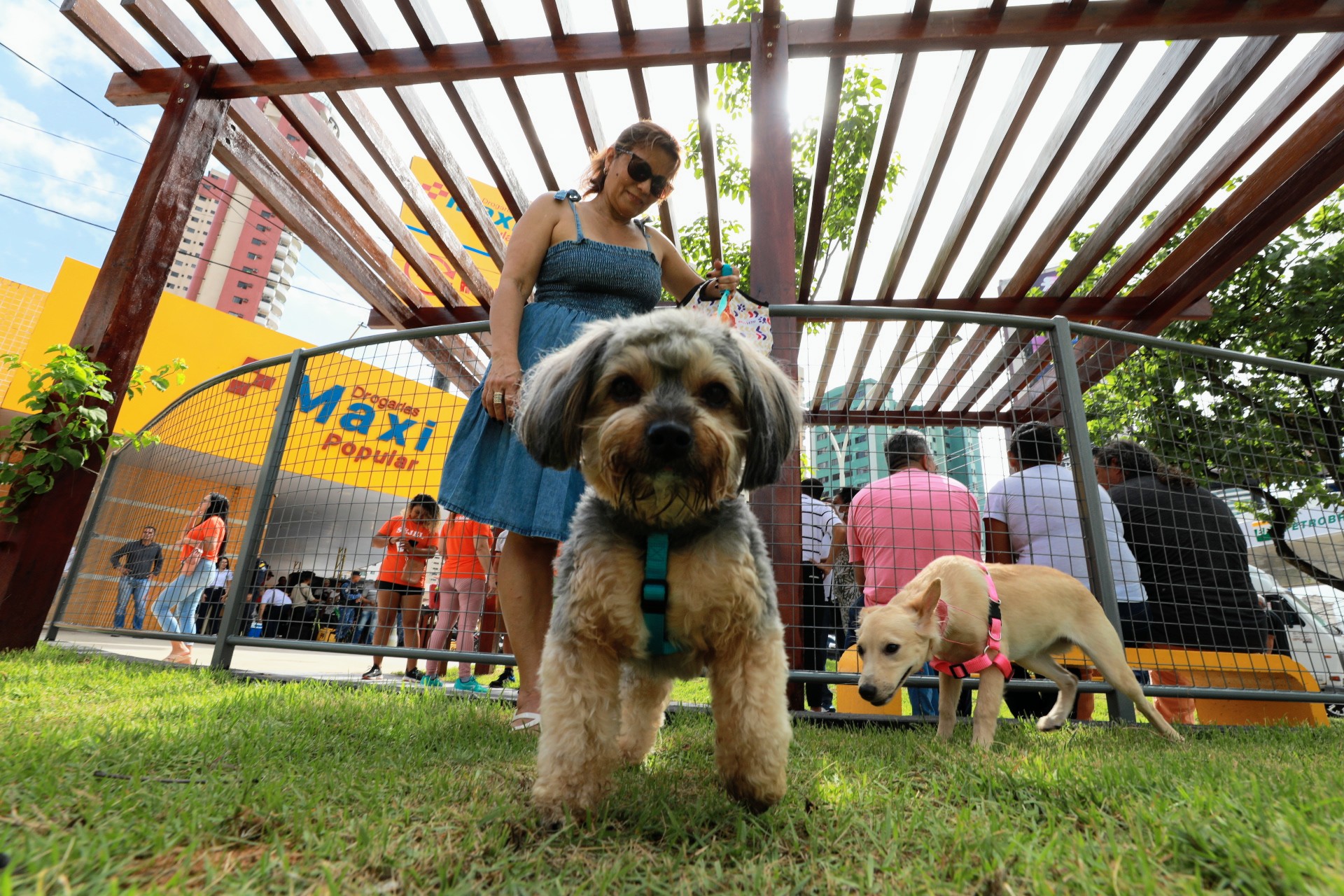 Prefeitura inaugura praça pet em Belém e anuncia novidades para a garantia da proteção dos animais na cidade