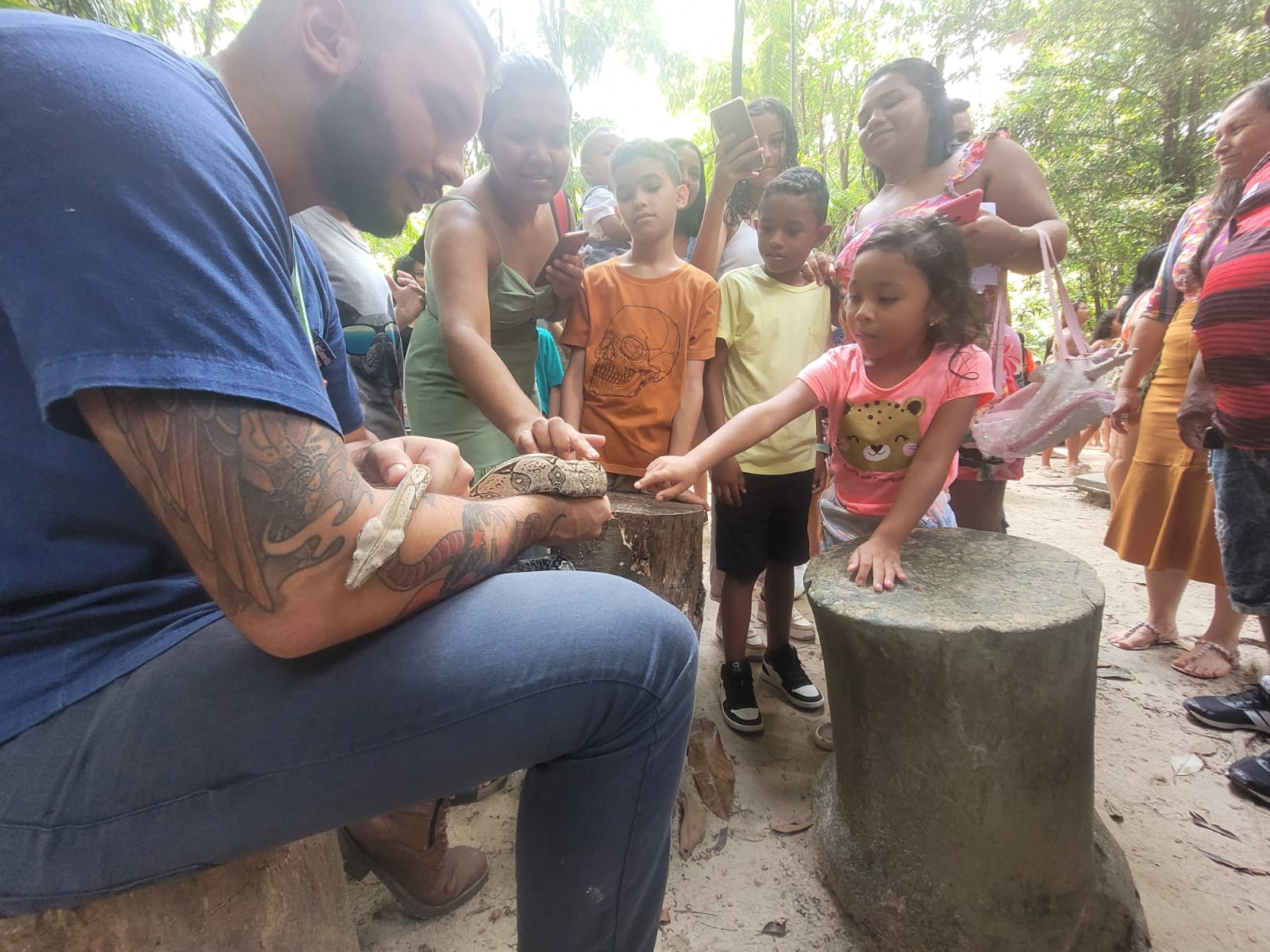Mais de duas mil novas árvores serão plantadas em Belém durante a Semana do Meio Ambiente