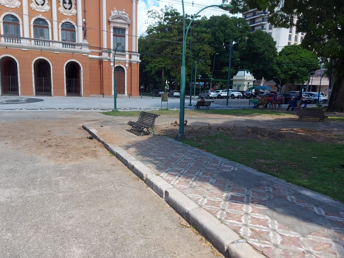 Retirada das árvores caídas em Belém após vendaval entra em nova etapa