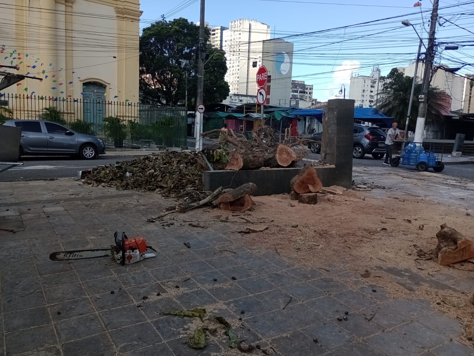Retirada das árvores caídas em Belém após vendaval entra em nova etapa