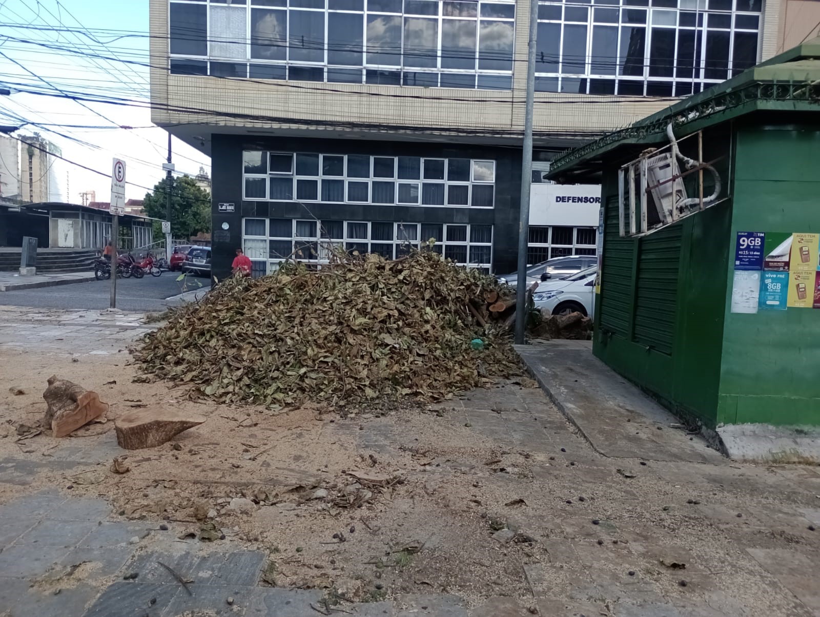 Retirada das árvores caídas em Belém após vendaval entra em nova etapa
