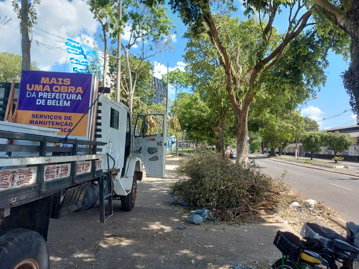 Retirada das árvores caídas em Belém após vendaval entra em nova etapa