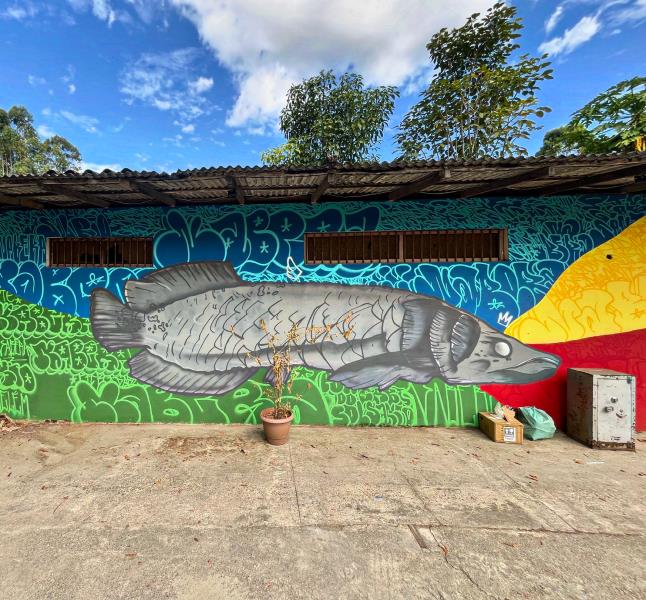 Projetos GIRA e I.G.A.P.Ó. chegam ao Marajó com oficinas gratuitas de grafitti e ocupam Soure com arte urbana