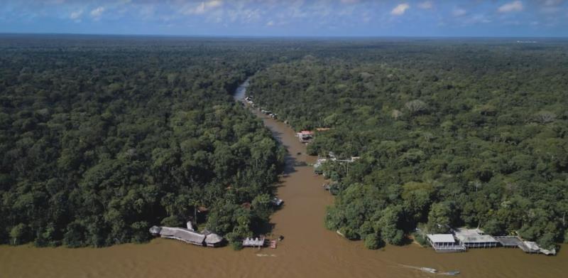 Coalizão já mobilizou mais de US$ 5 bilhões para restauração florestal e bioeconomia no Brasil