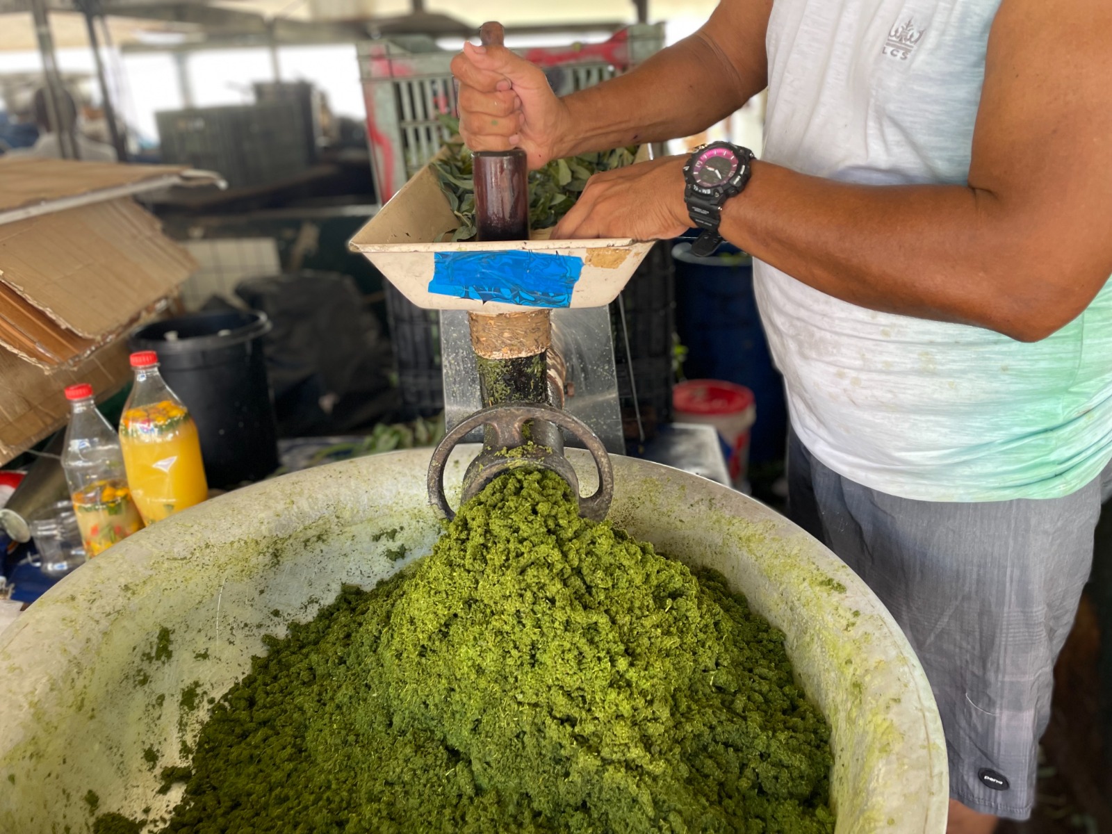 Cidade Criativa da Gastronomia se prepara para mais um Círio de Nazaré