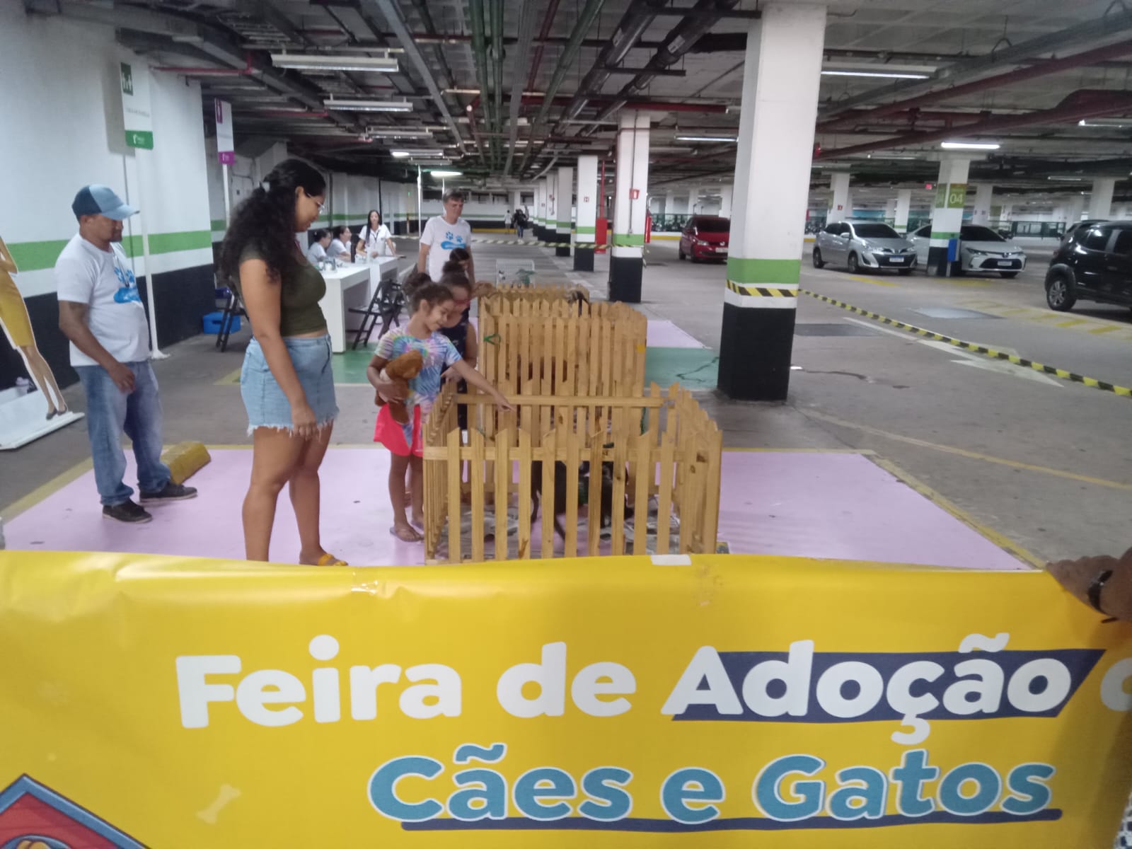 Belém terá vacinação antirrábica e feira de adoção de cães e gatos neste sábado, 5