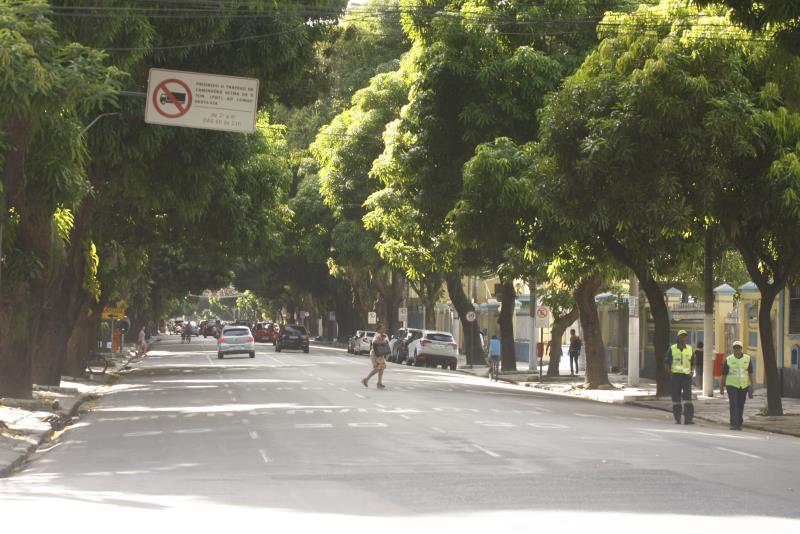 Prefeitura de Belém conclui inventário de árvores no bairro de Nazaré
