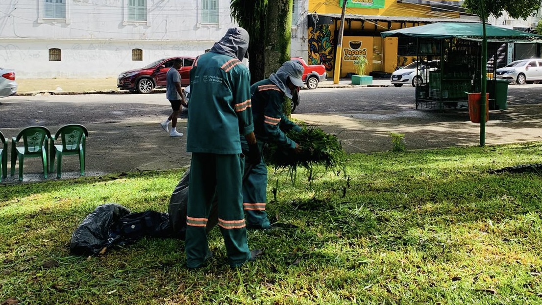 Reaproveitamento de material de roçagem é usado para nutrir e proteger as árvores da cidade