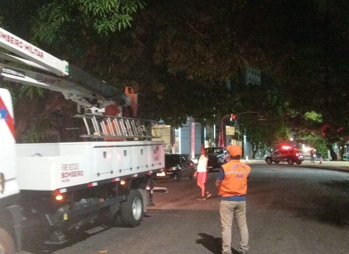 Prefeitura de Belém inicia trabalhos de combate a enxames de abelhas no centro urbano da cidade