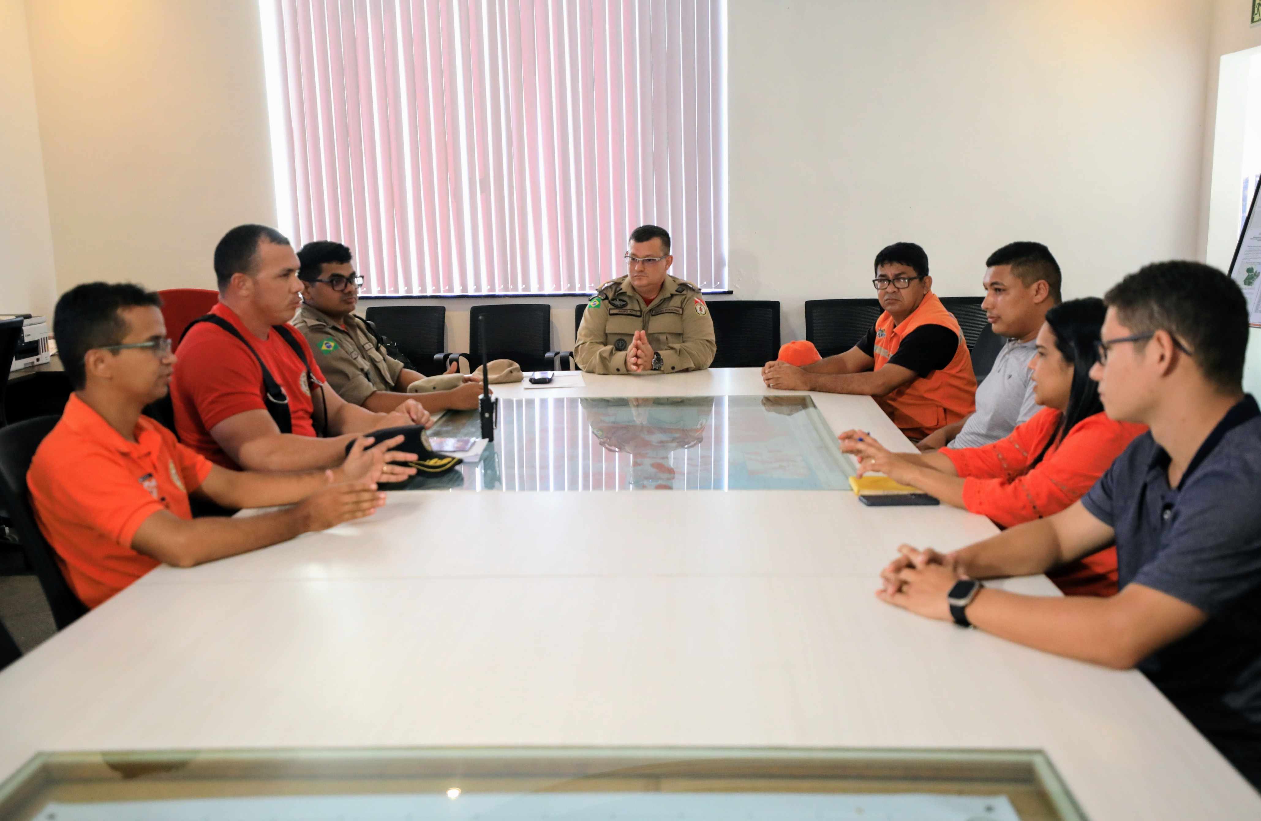 Prefeitura de Belém cria protocolo de atuação para ocorrências ligadas a enxames de abelhas na cidade