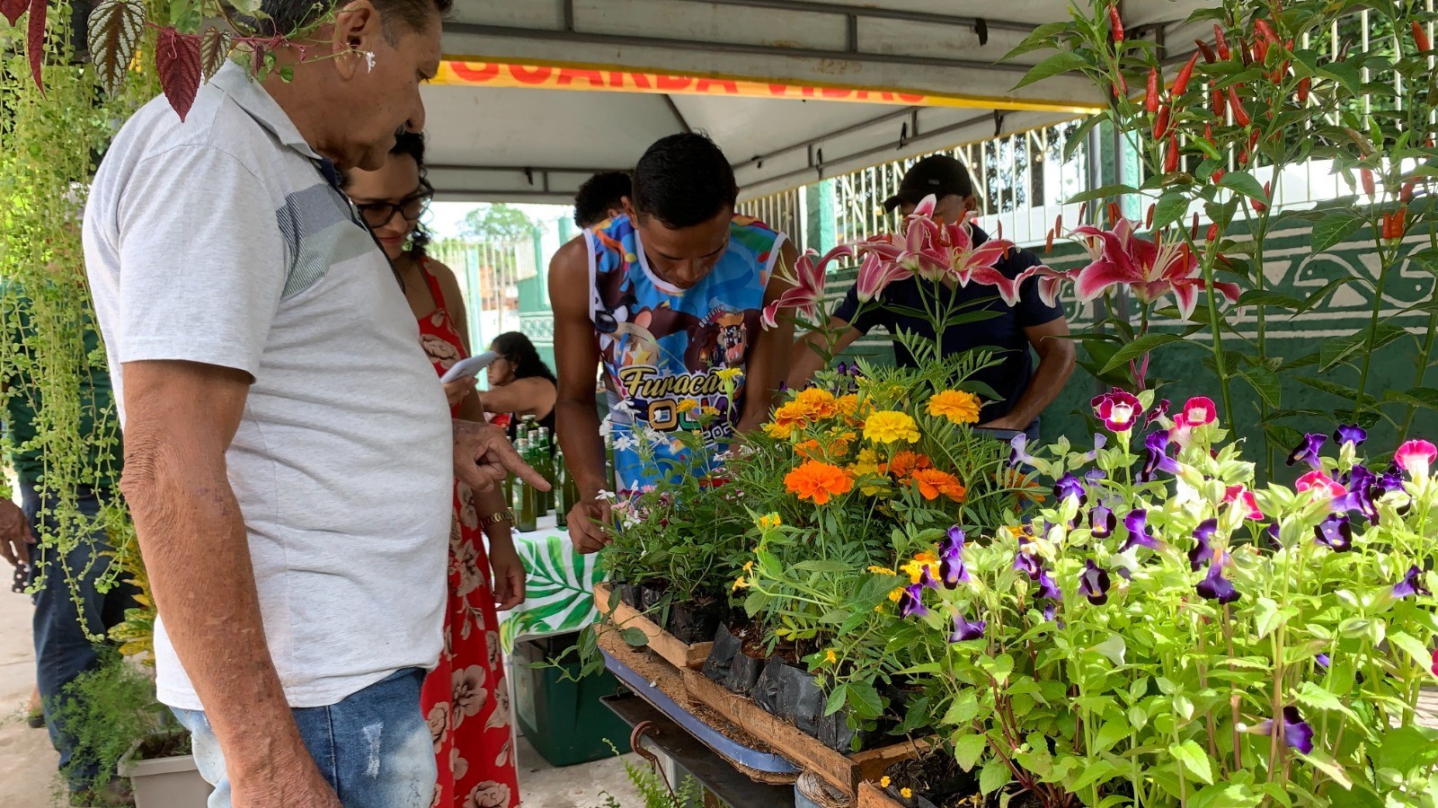 Fundação Escola Bosque celebra o Dia da Amazônia com práticas pedagógicas