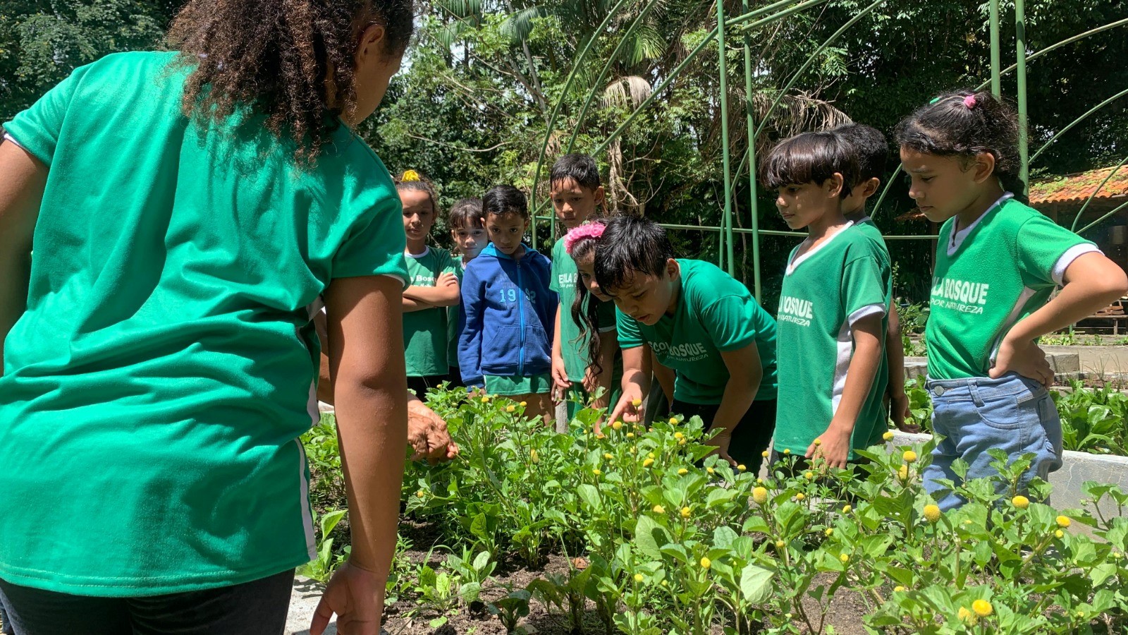 Fundação Escola Bosque divulga datas de rematrícula de estudantes para 2025