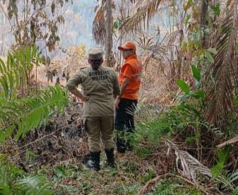 Prefeito de Belém pede o apoio da população para evitar queimadas