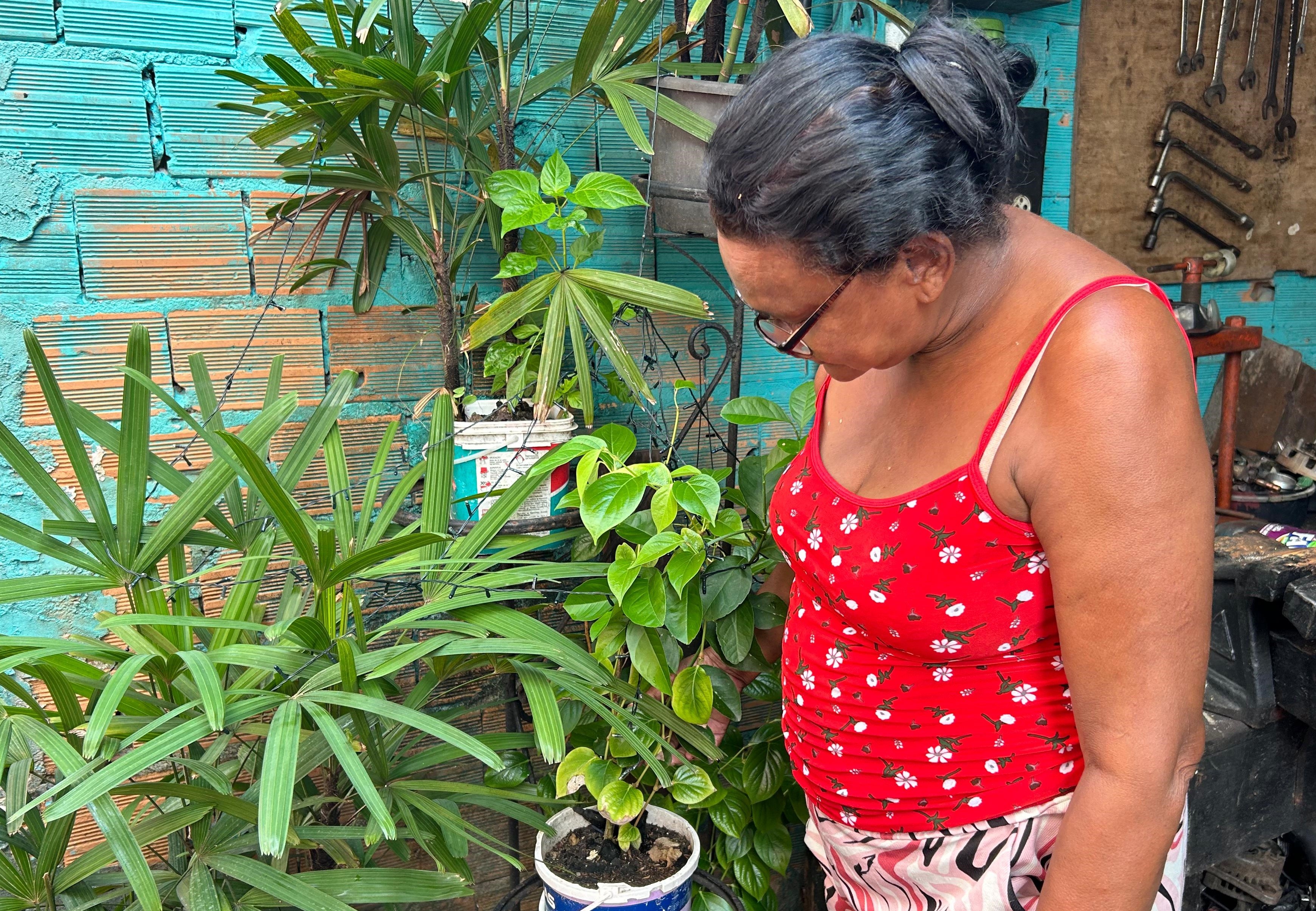 Sesma intensifica ações de combate ao mosquito da dengue em Belém