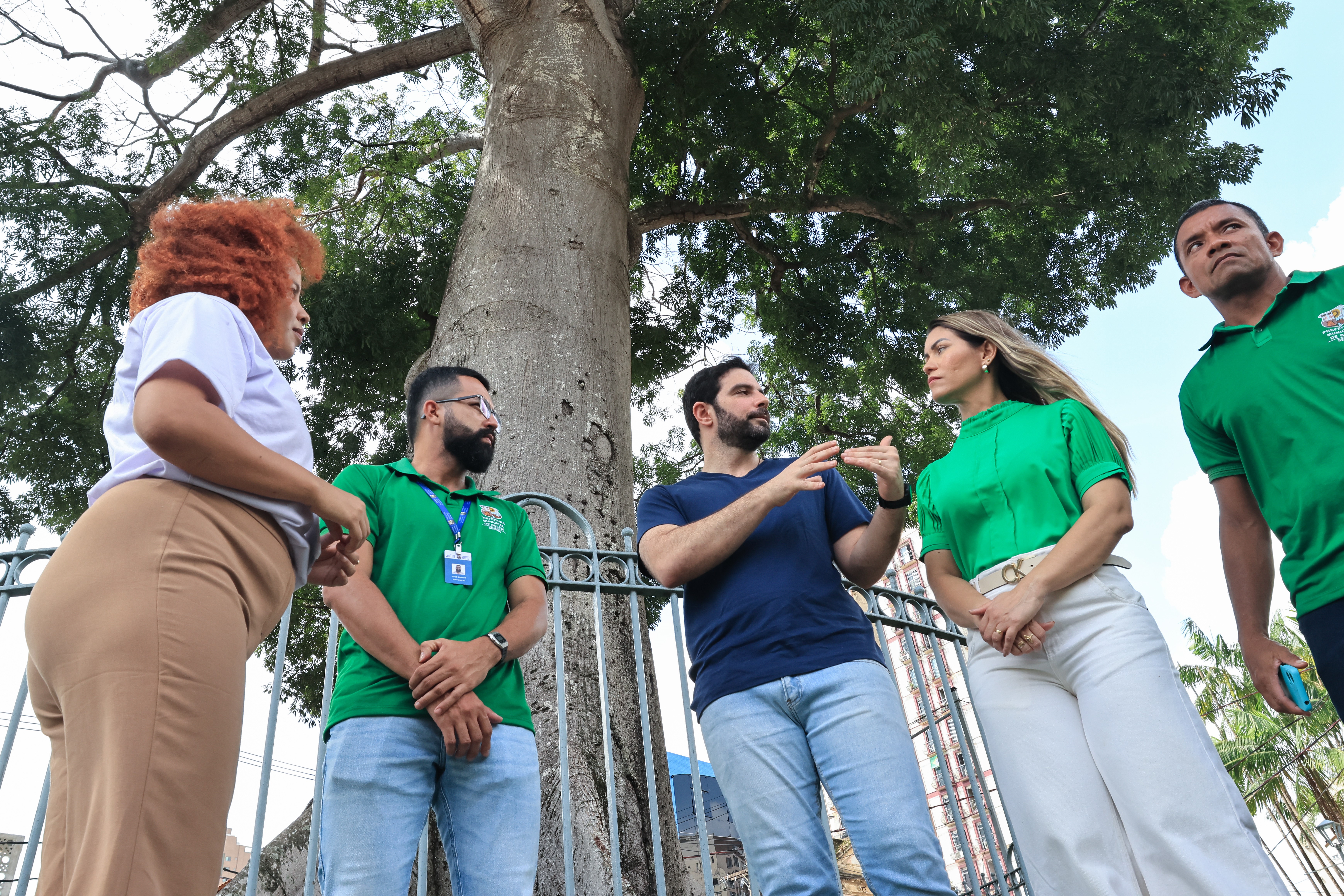 Prefeitura atesta boas condições de samaúmeira da praça Santuário