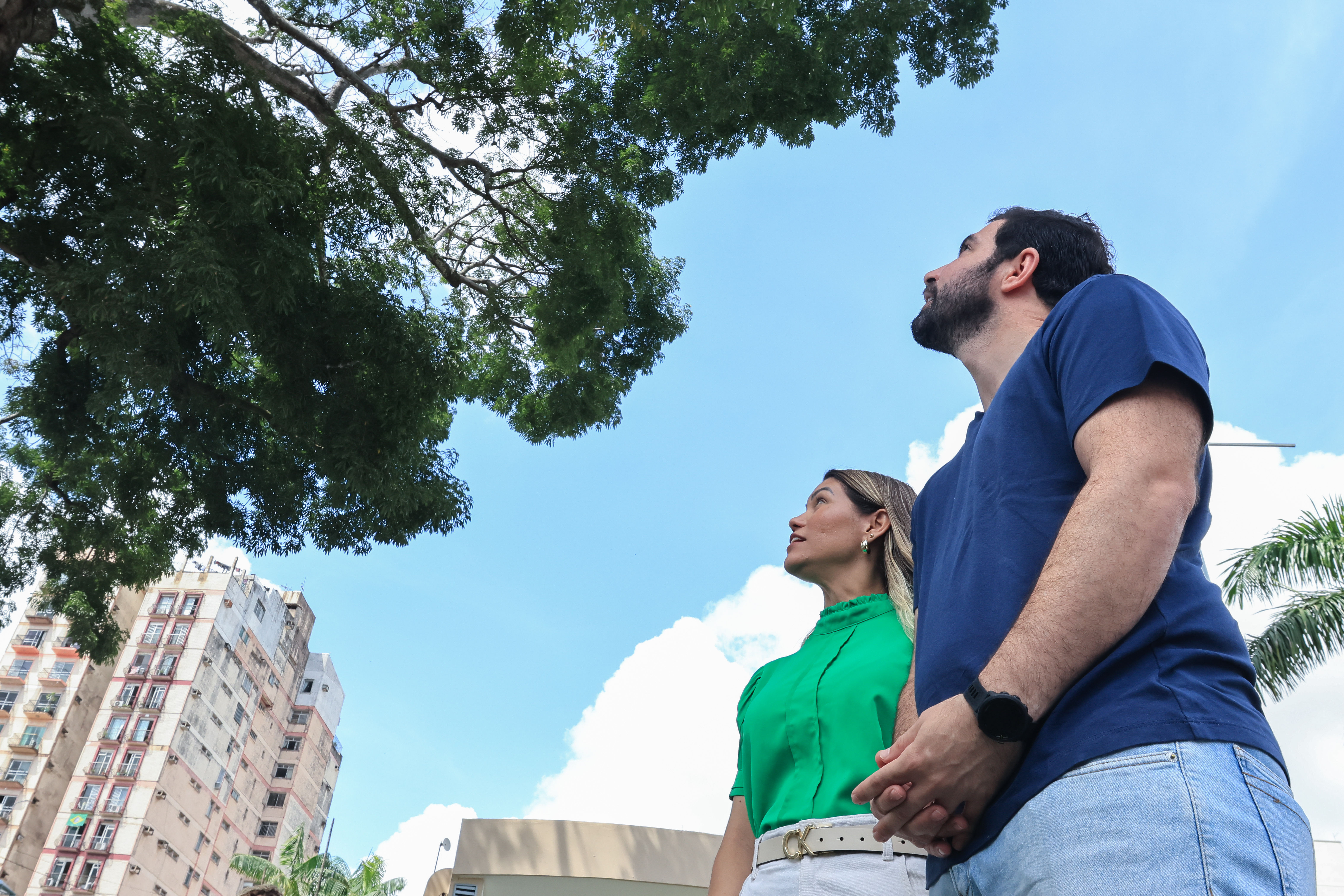 Prefeitura atesta boas condições de samaúmeira da praça Santuário