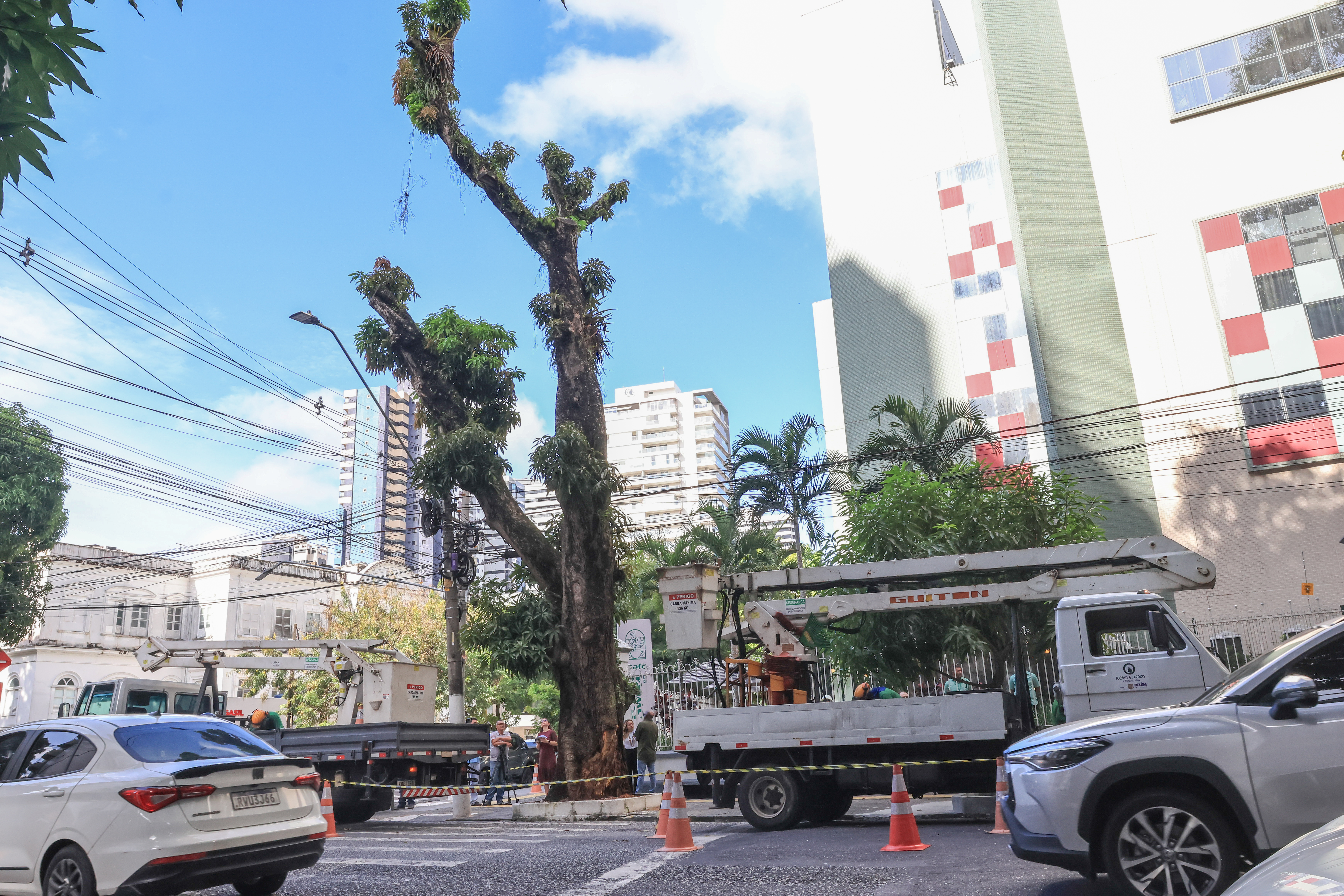 Prefeitura lança força-tarefa para combater quedas de árvores em Belém