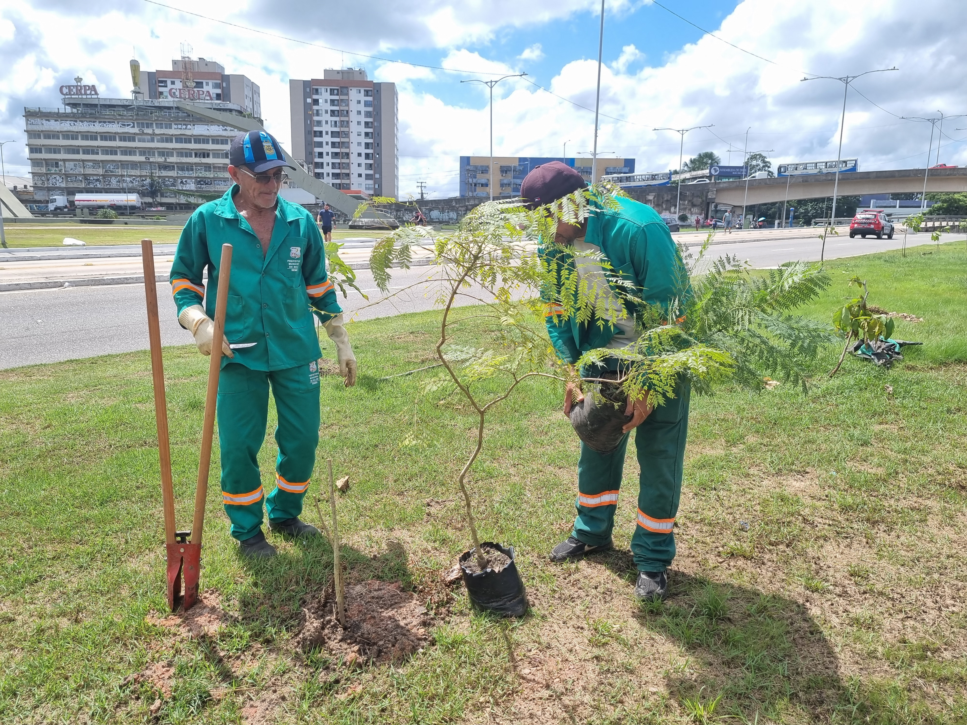 Arborização no Entroncamento começa com o plantio de 100 mudas