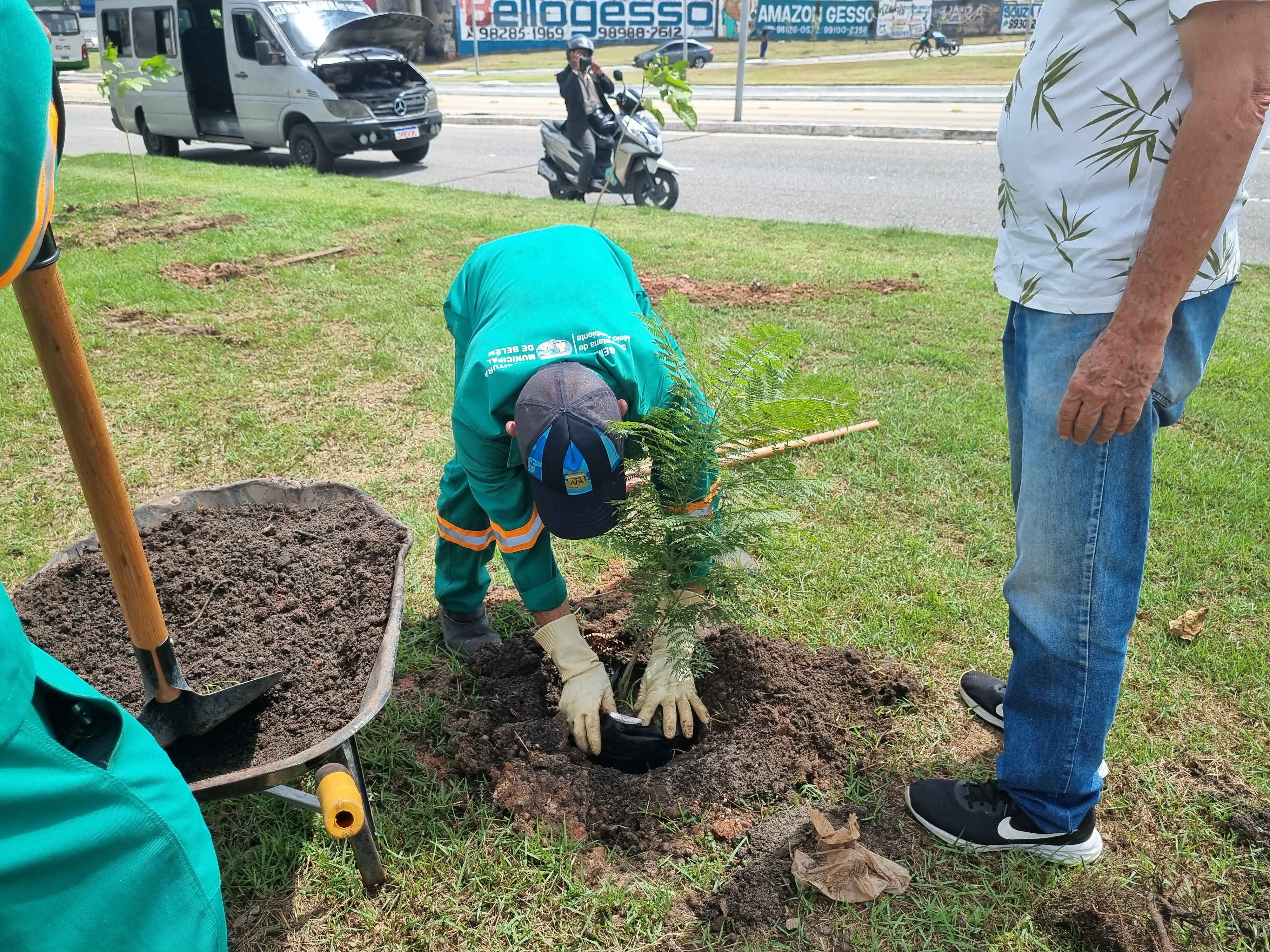 Arborização no Entroncamento começa com o plantio de 100 mudas