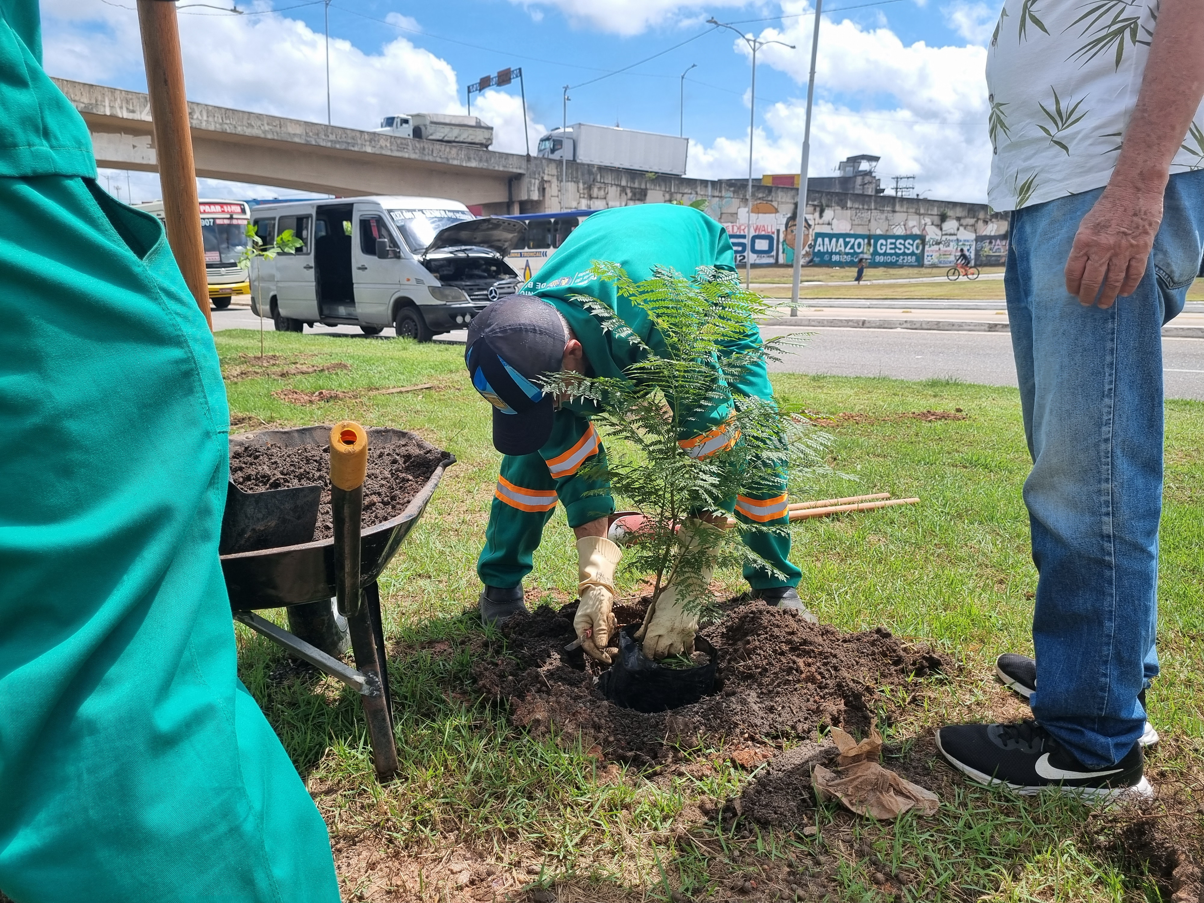 Arborização no Entroncamento começa com o plantio de 100 mudas