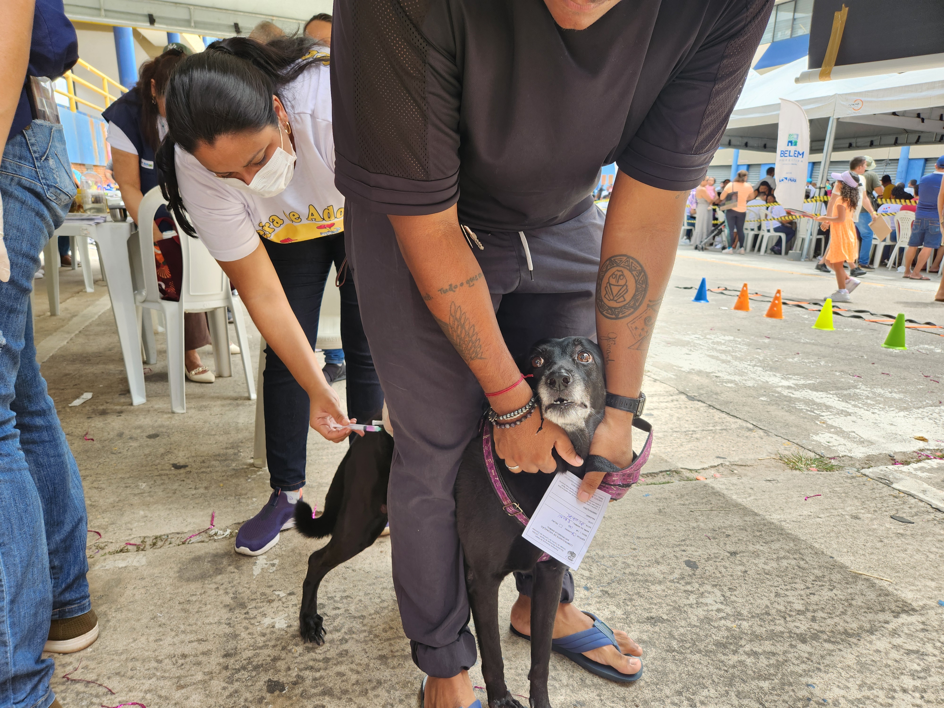 Pets recebem cuidados na segunda edição do Programa Belém Pra Todos