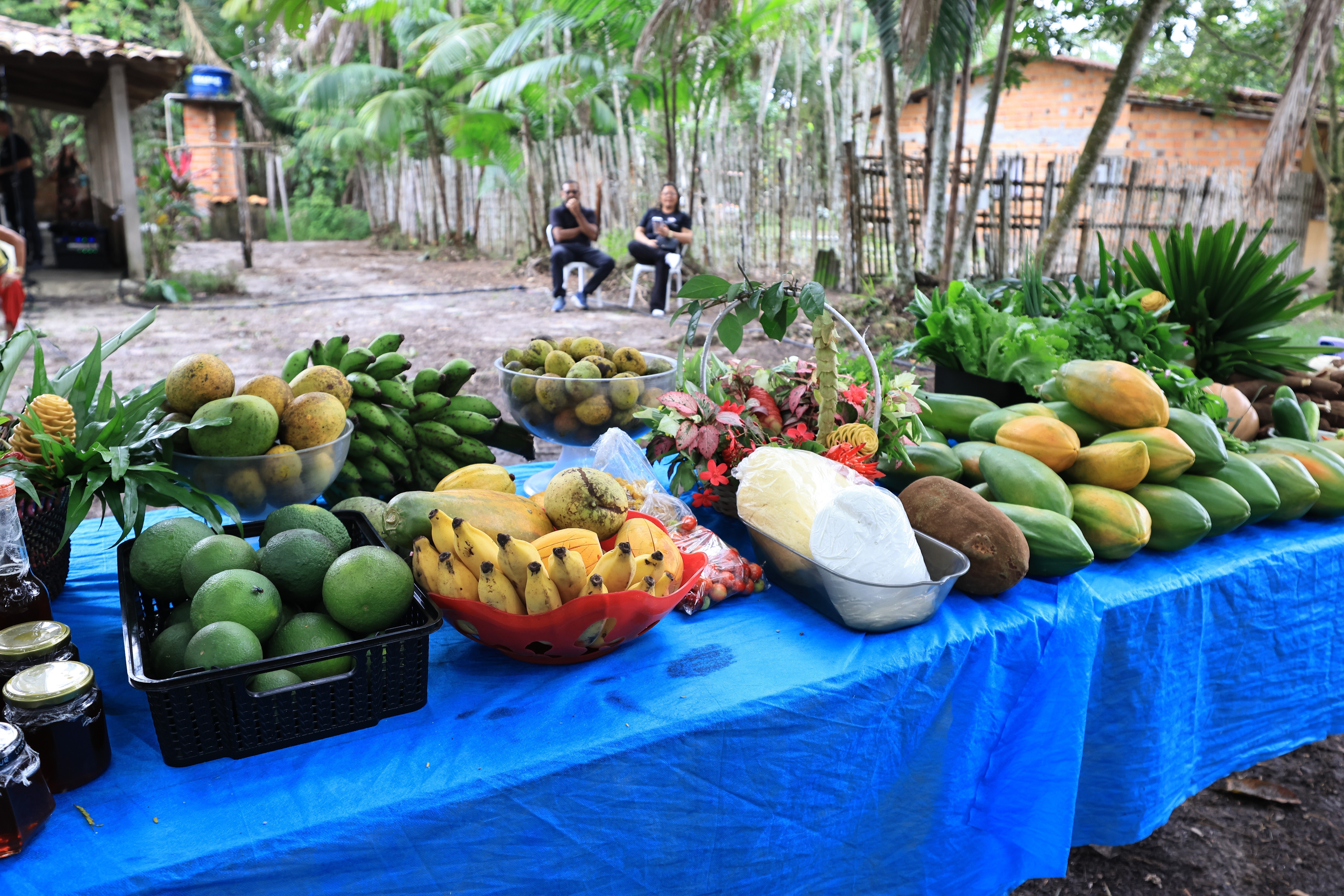 200 famílias de agricultores de Mosqueiro recebem kits fertilizantes