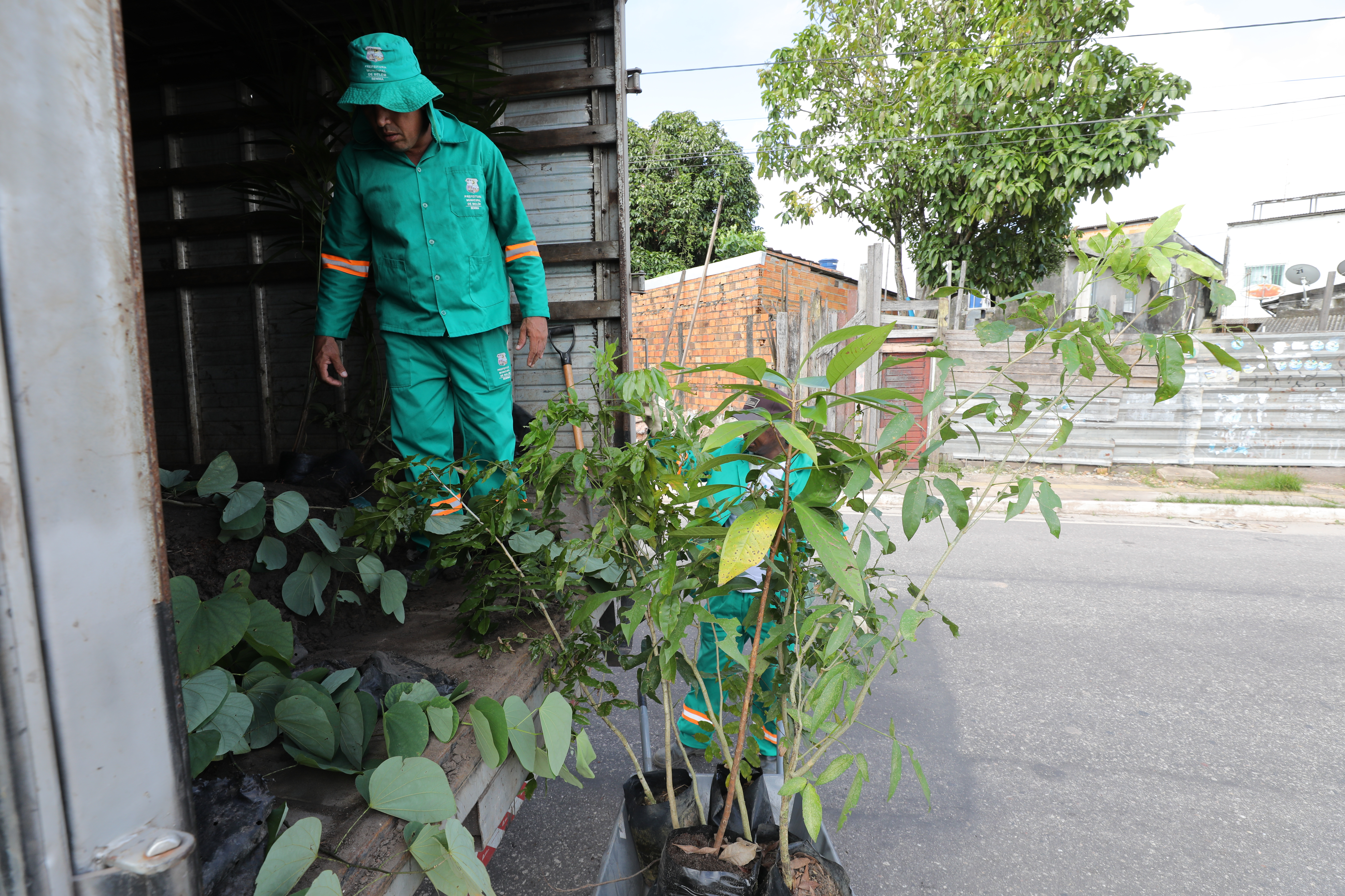 Arborização no Tucunduba começa com o plantio de 500 mudas