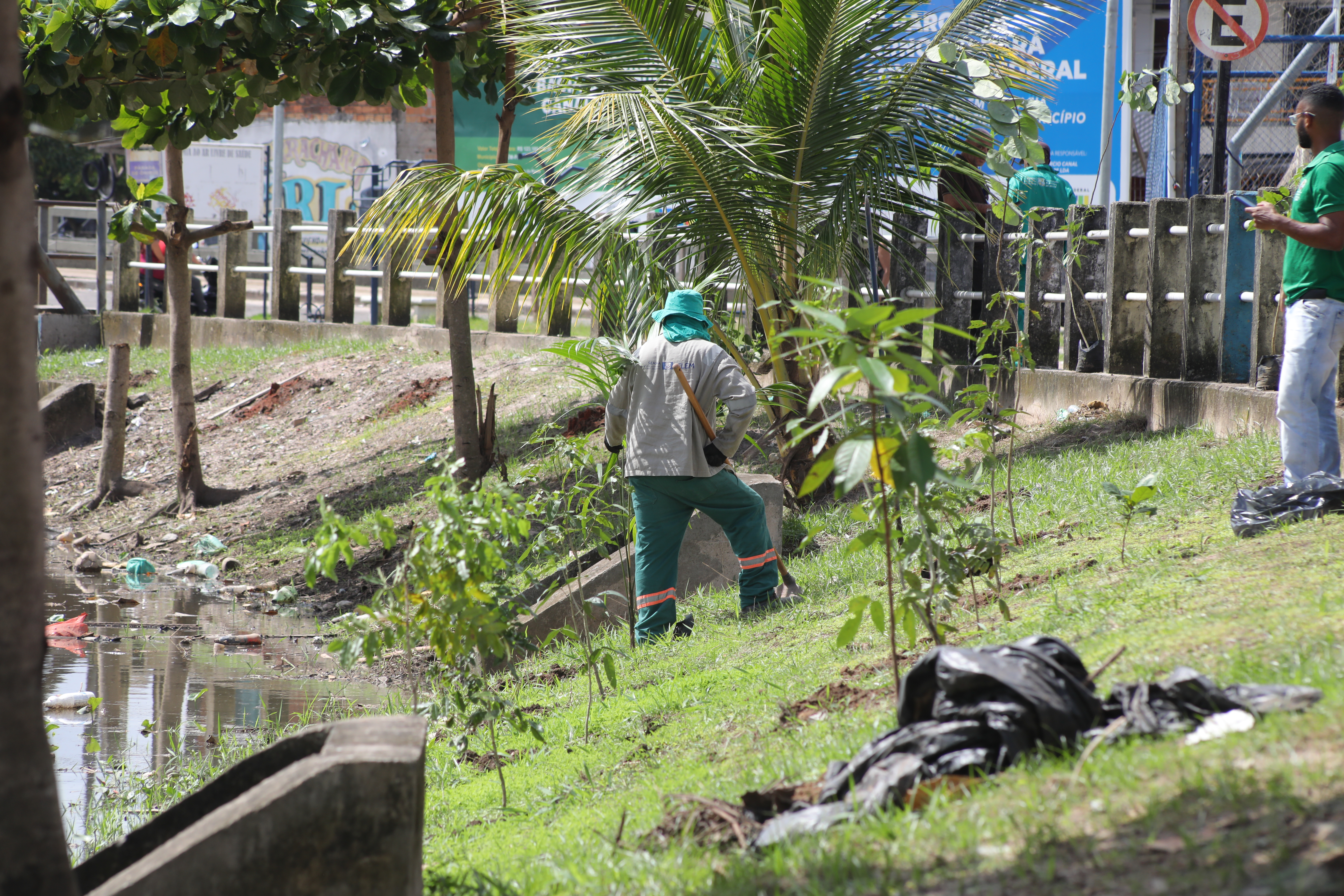 Arborização no Tucunduba começa com o plantio de 500 mudas