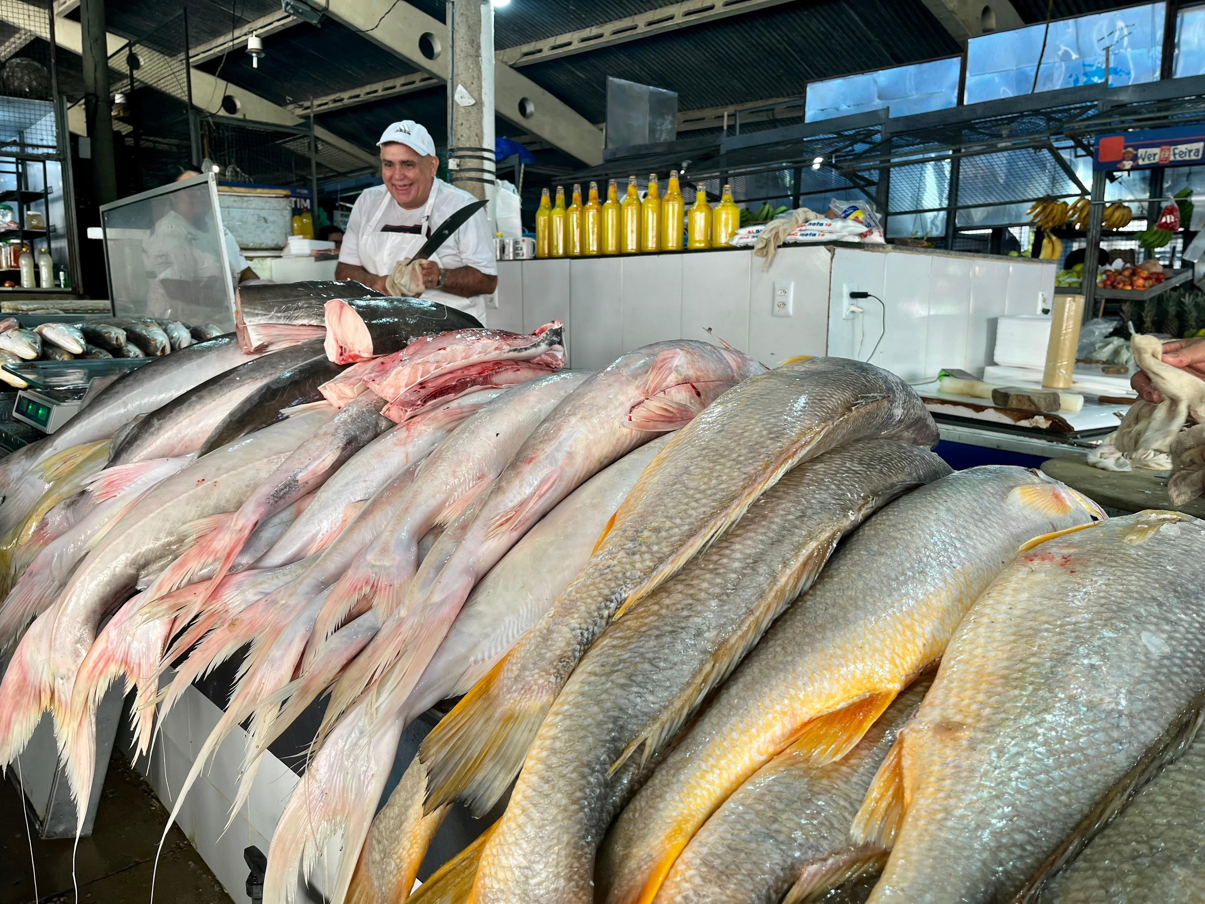Guia do consumidor auxilia população de Belém na compra do pescado
