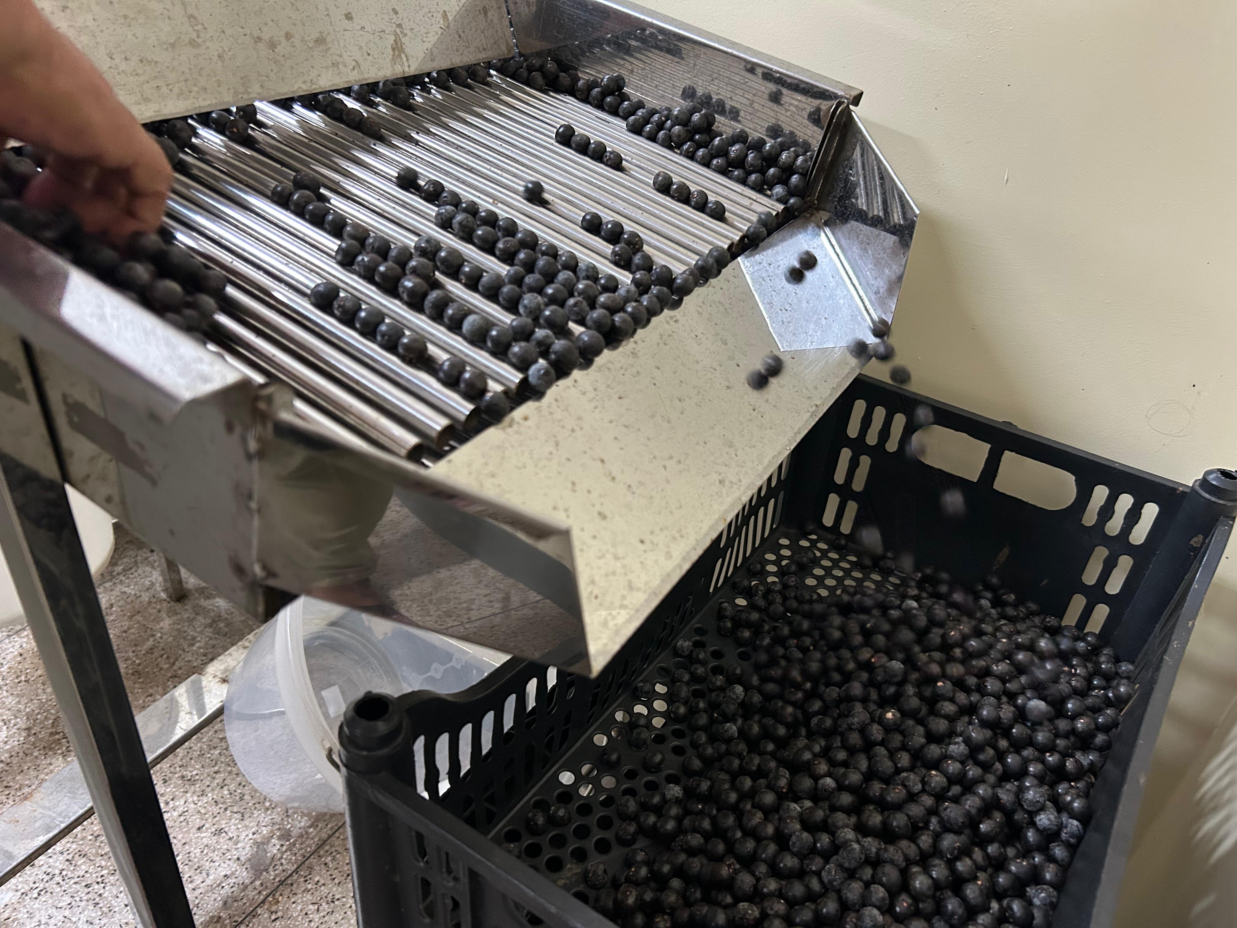 Batedores de açaí recebem dicas sobre práticas de higiene seguras