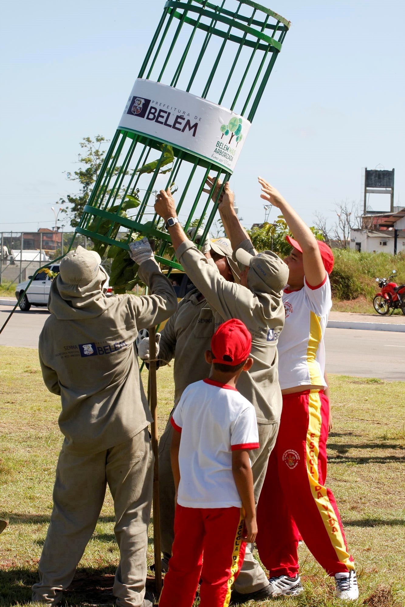 Semma lança campanha para um Natal com árvores naturais