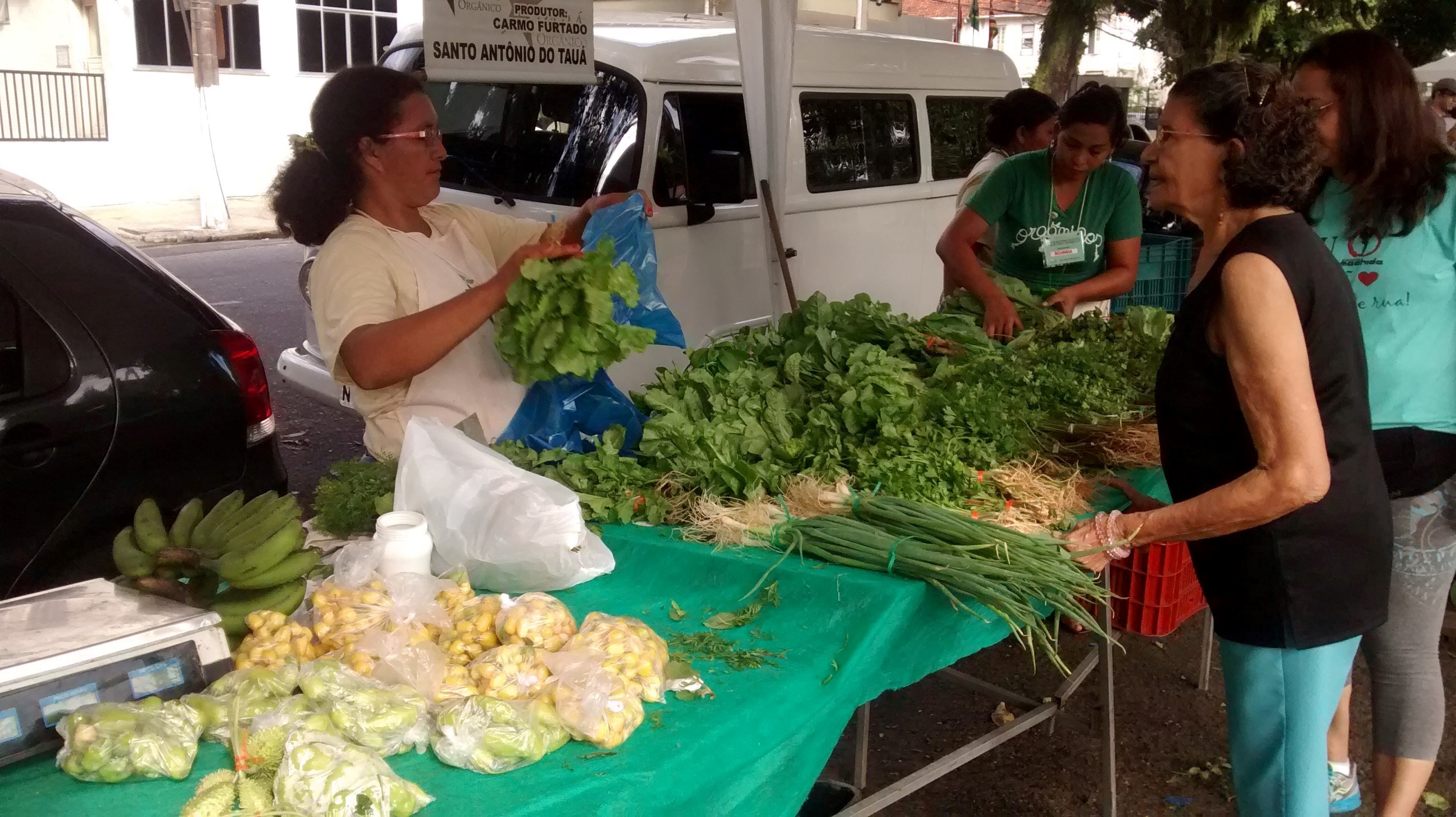 Prefeitura propõe plano de desenvolvimento para a agricultura familiar ribeirinha
