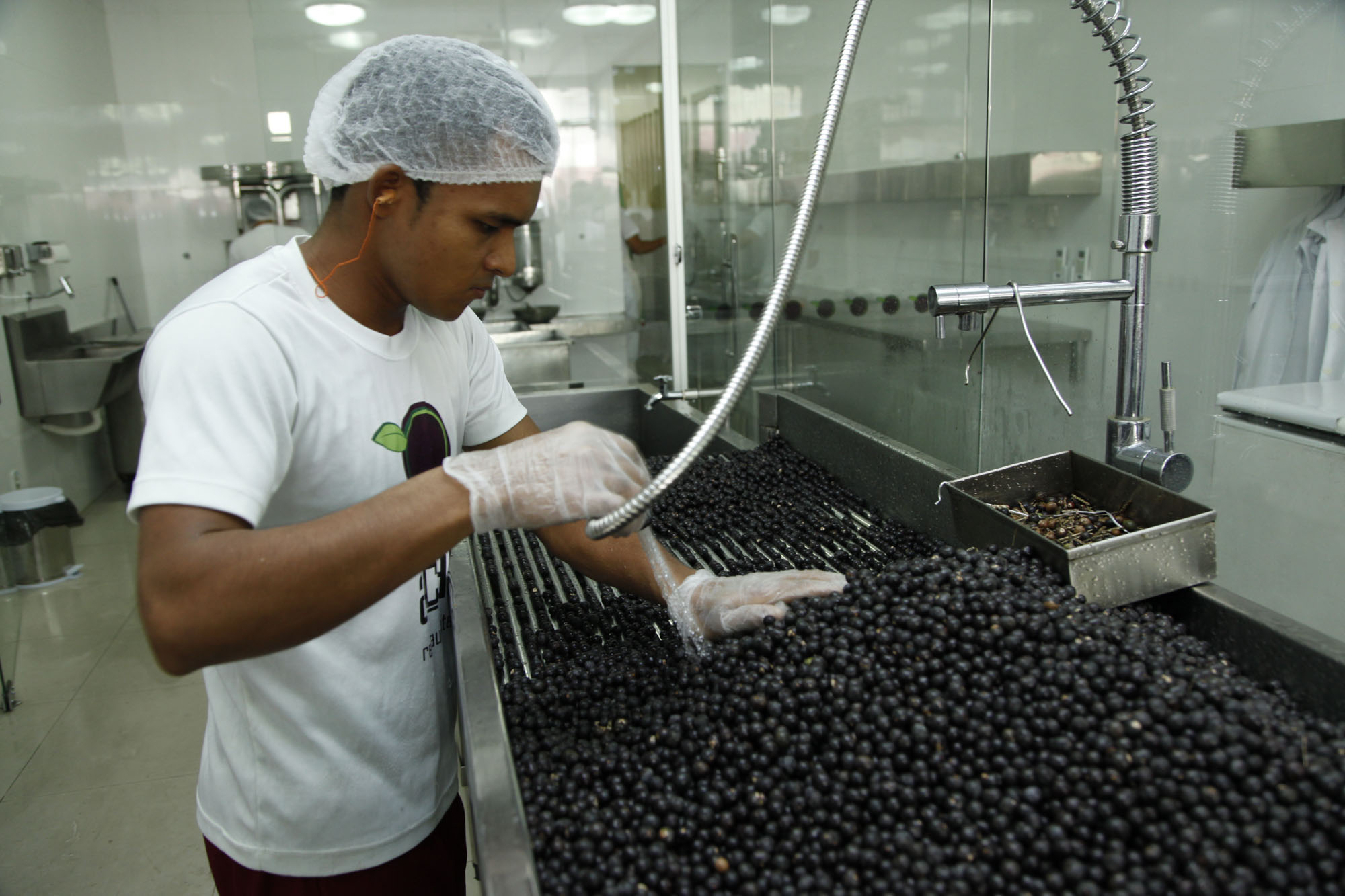 Selo "Açaí Bom" identifica açaí de qualidade