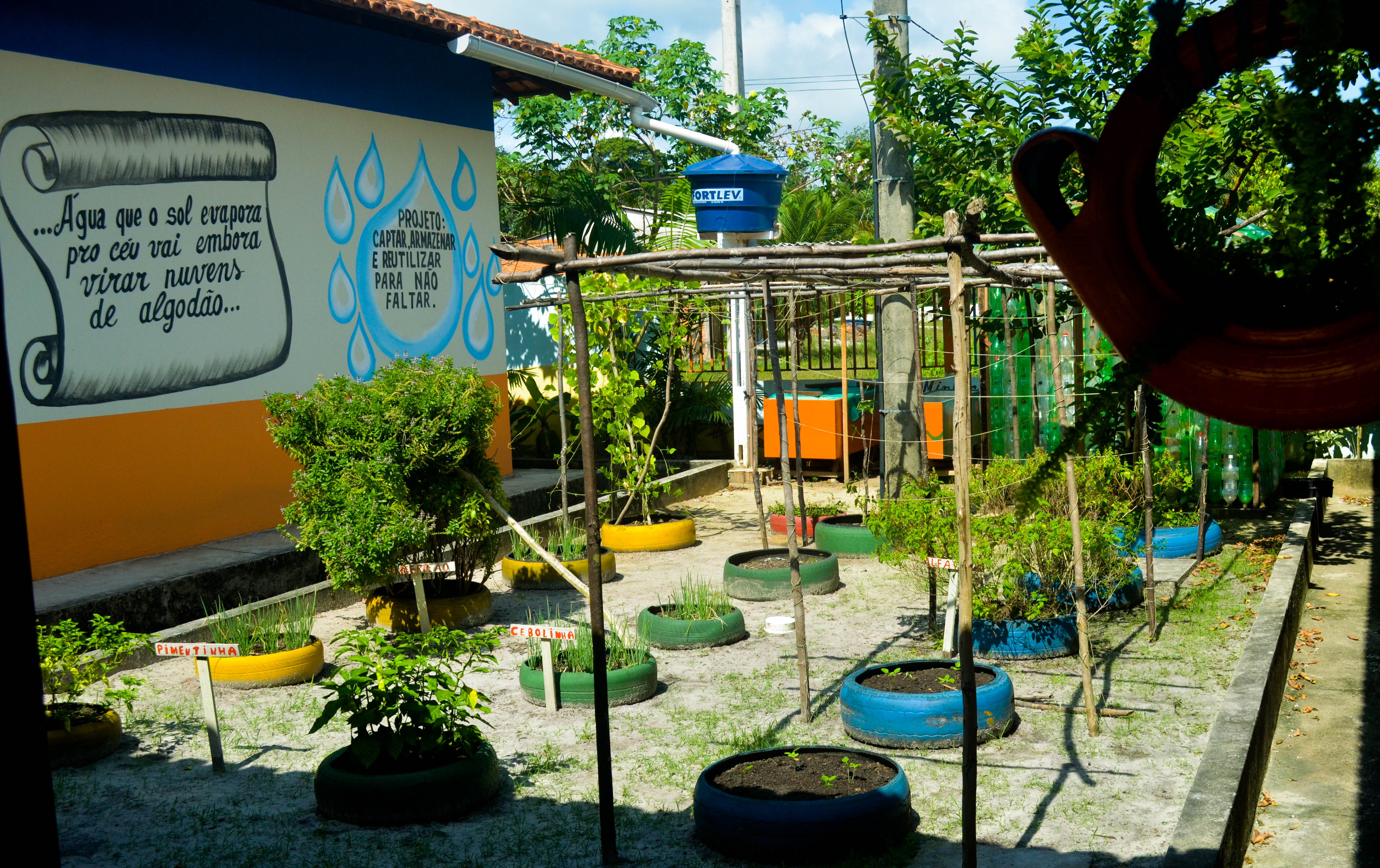 Rede municipal expande projeto Educando com a Horta Escolar e a Gastronomia
