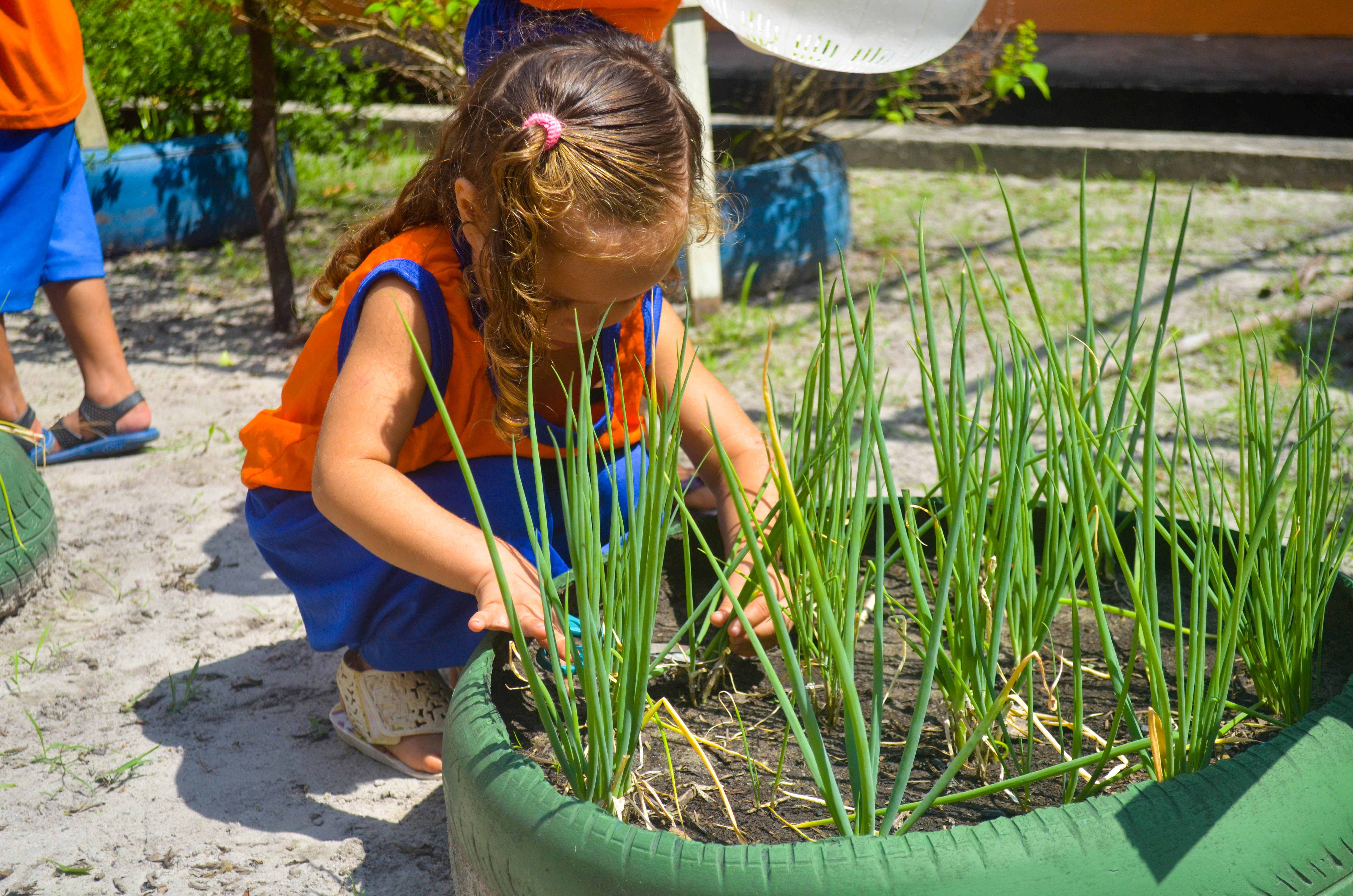 Rede municipal expande projeto Educando com a Horta Escolar e a Gastronomia
