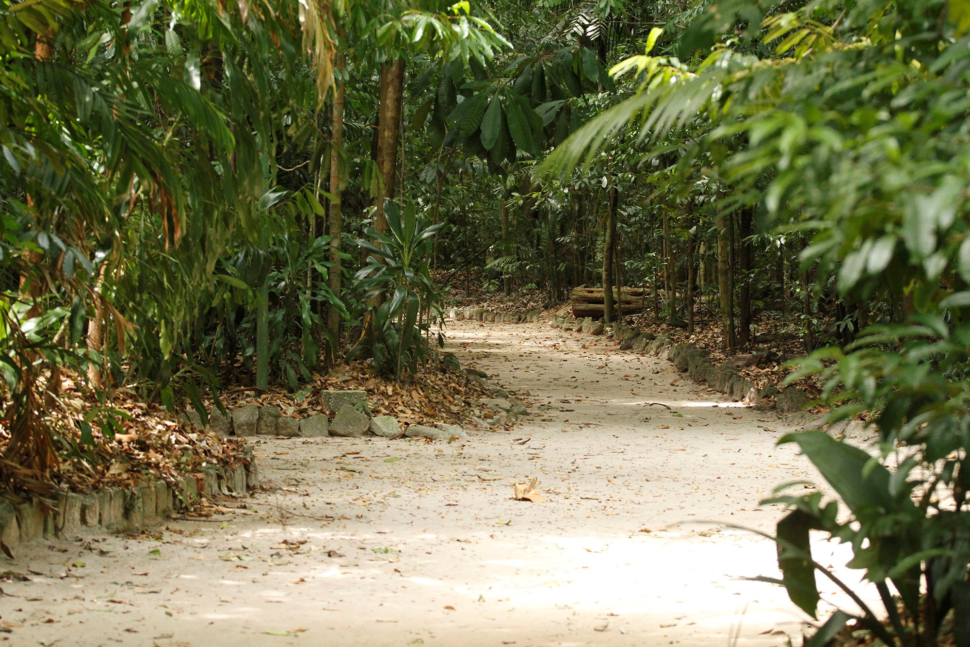 Bosque Rodrigues Alves ganha mapa turístico