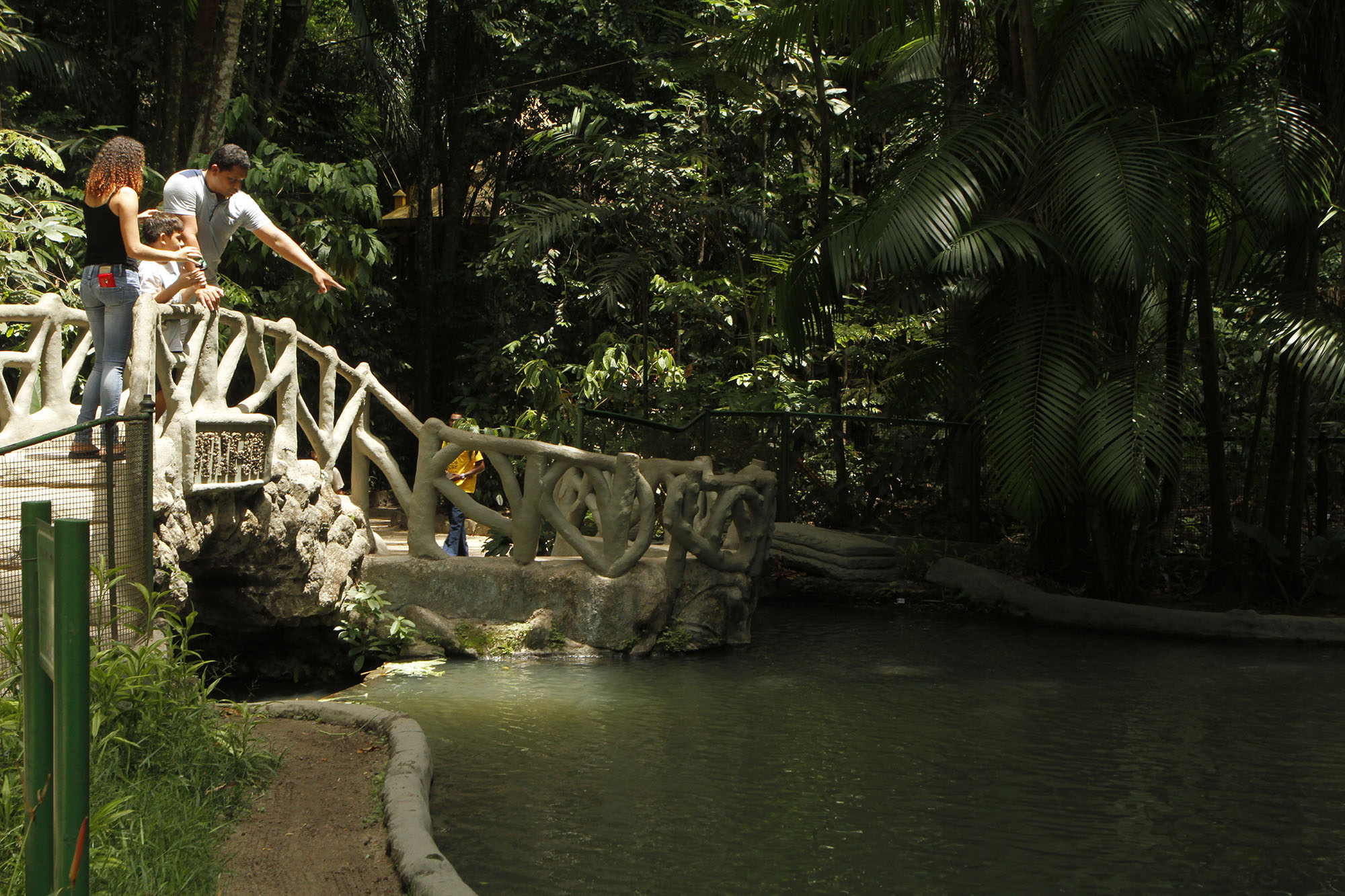 Bosque Rodrigues Alves ganha mapa turístico