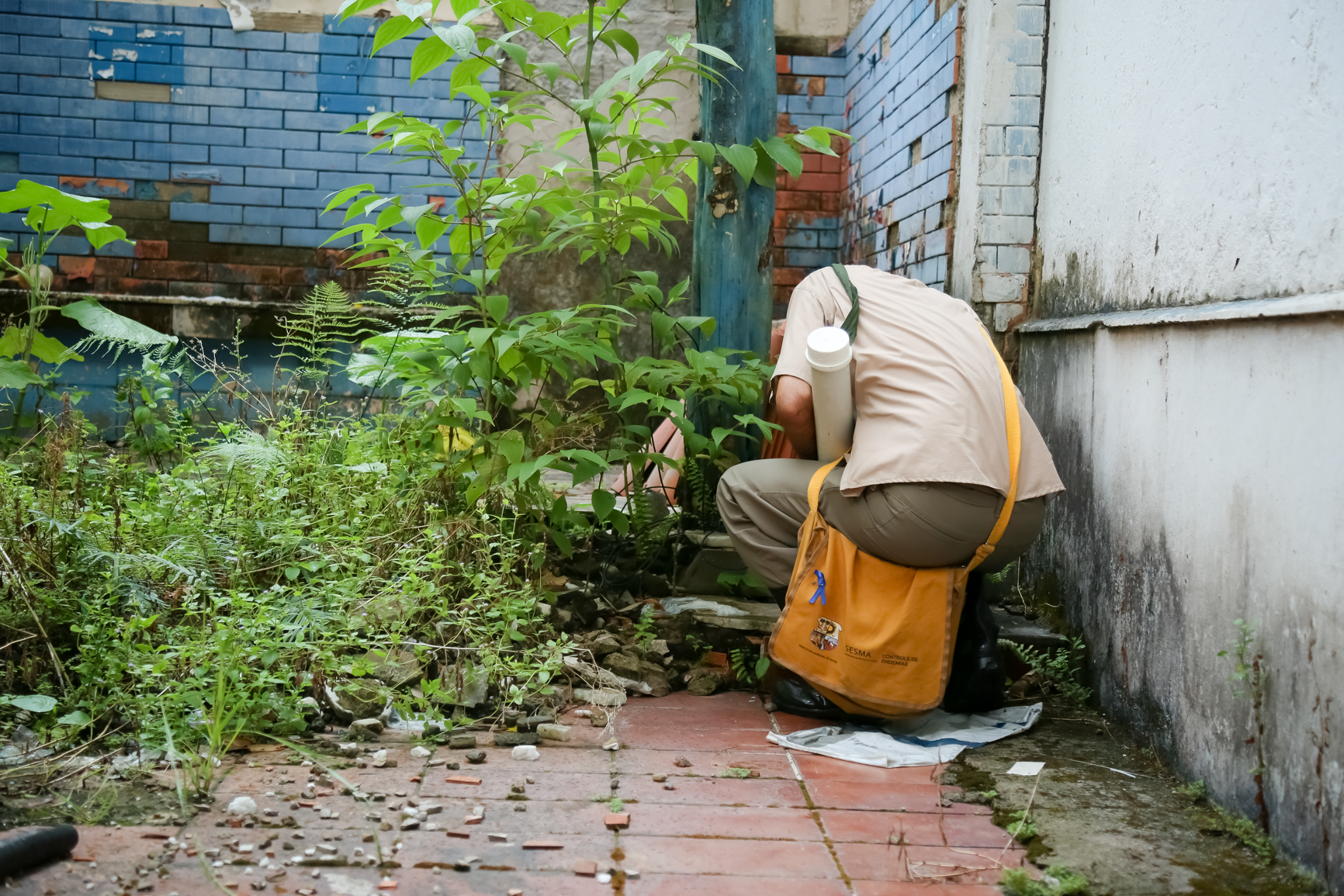 Prefeitura usa fumacê no combate ao mosquito aedes aegypti